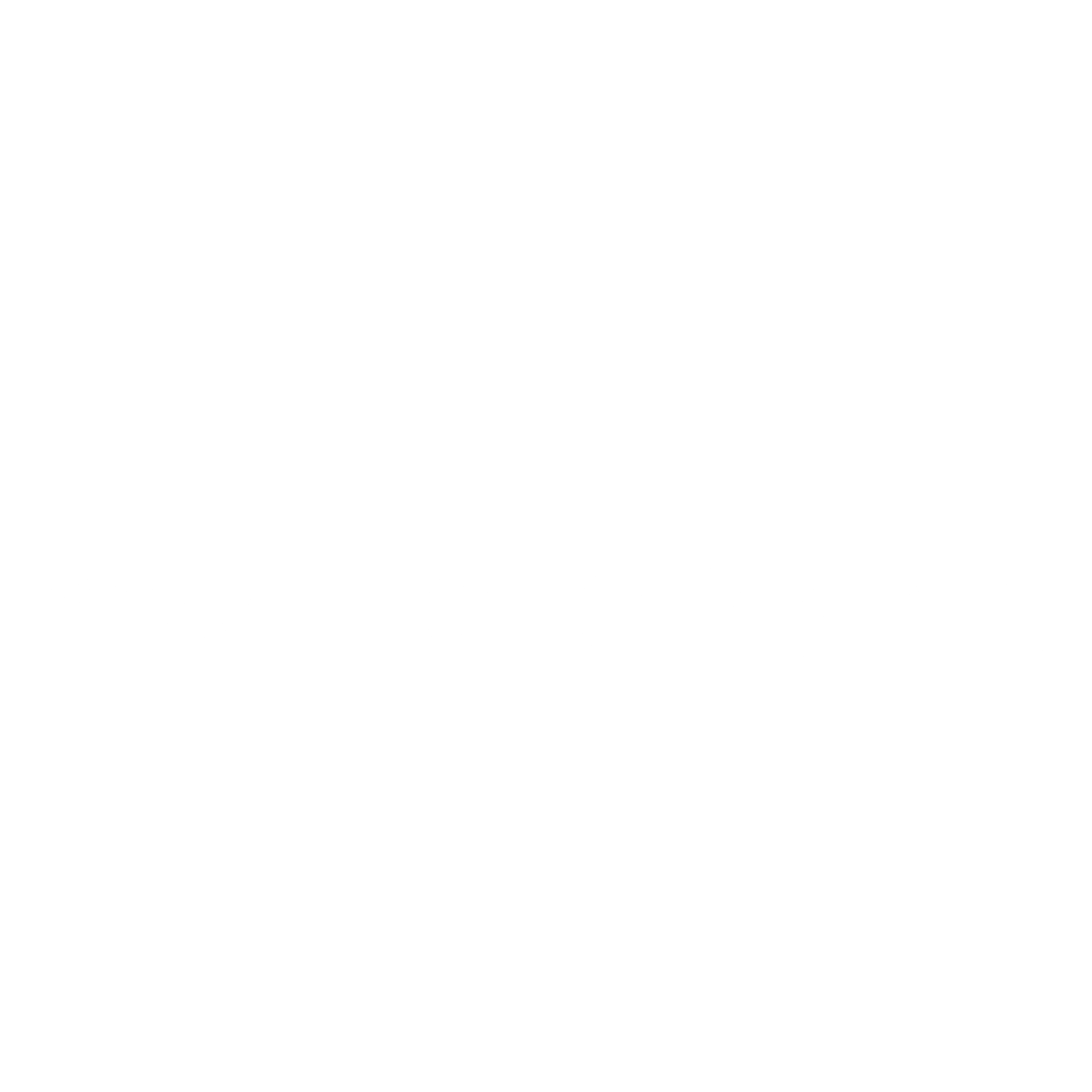 ASP Wireless Net Logo black and white