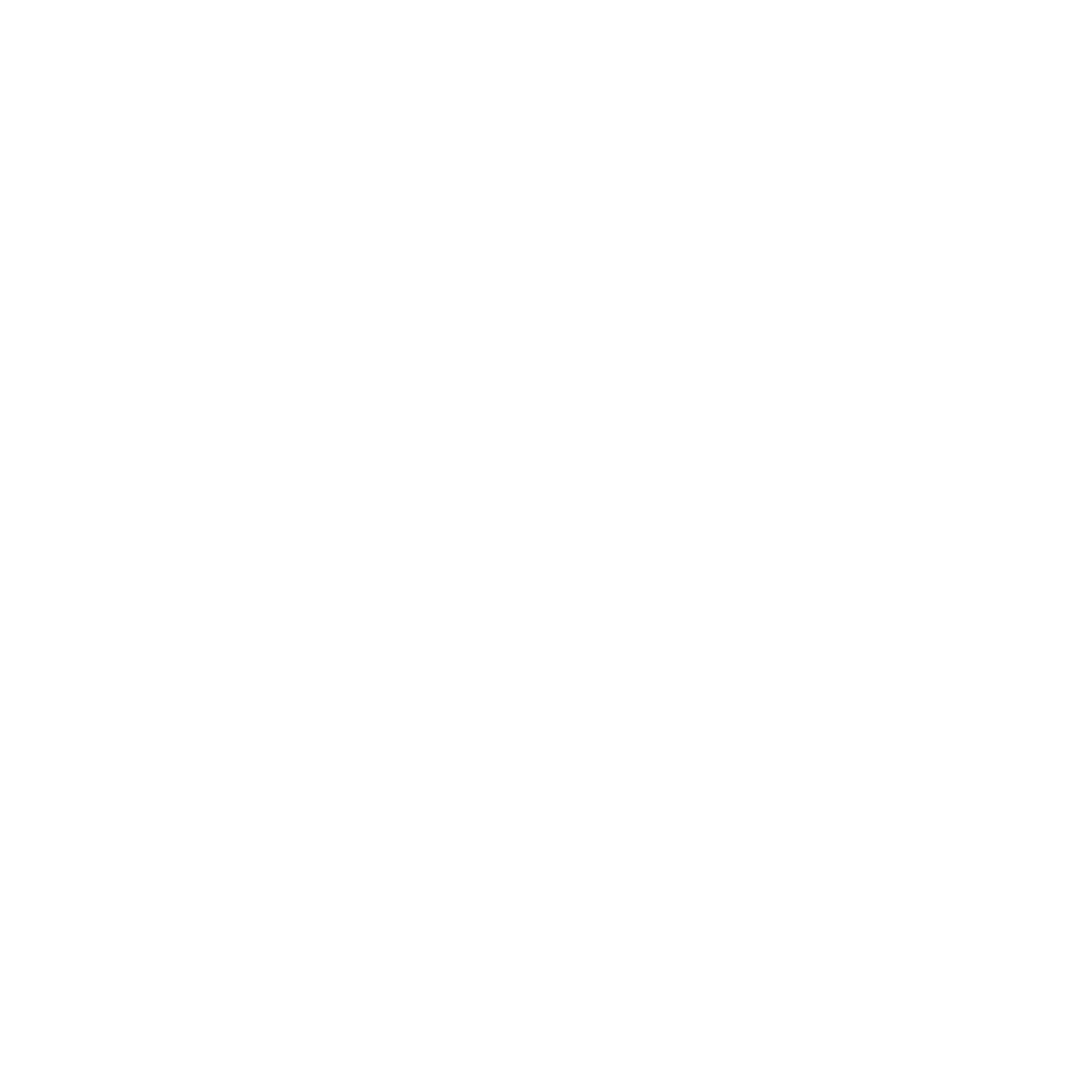 Audium Logo black and white