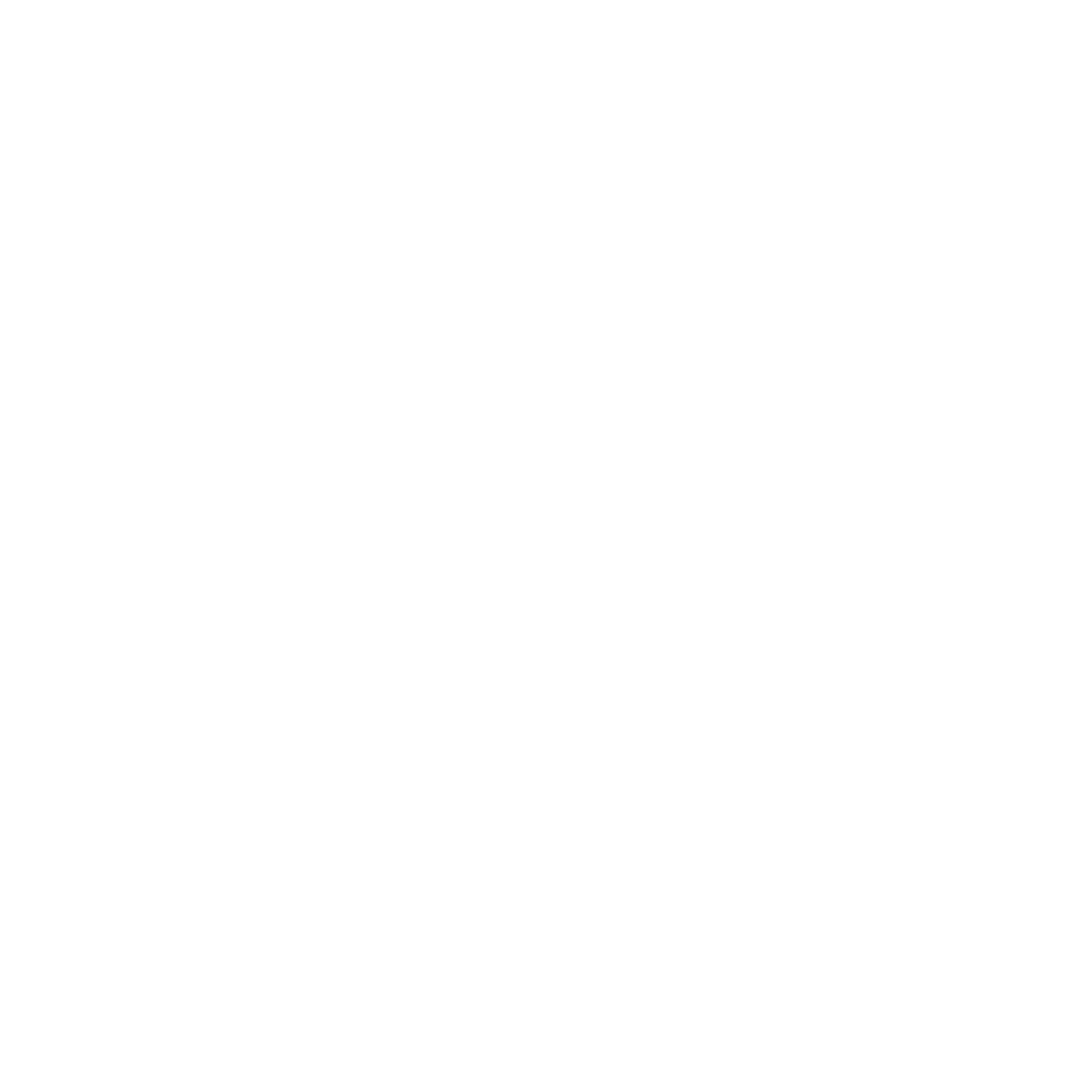 AUSe NET Logo black and white