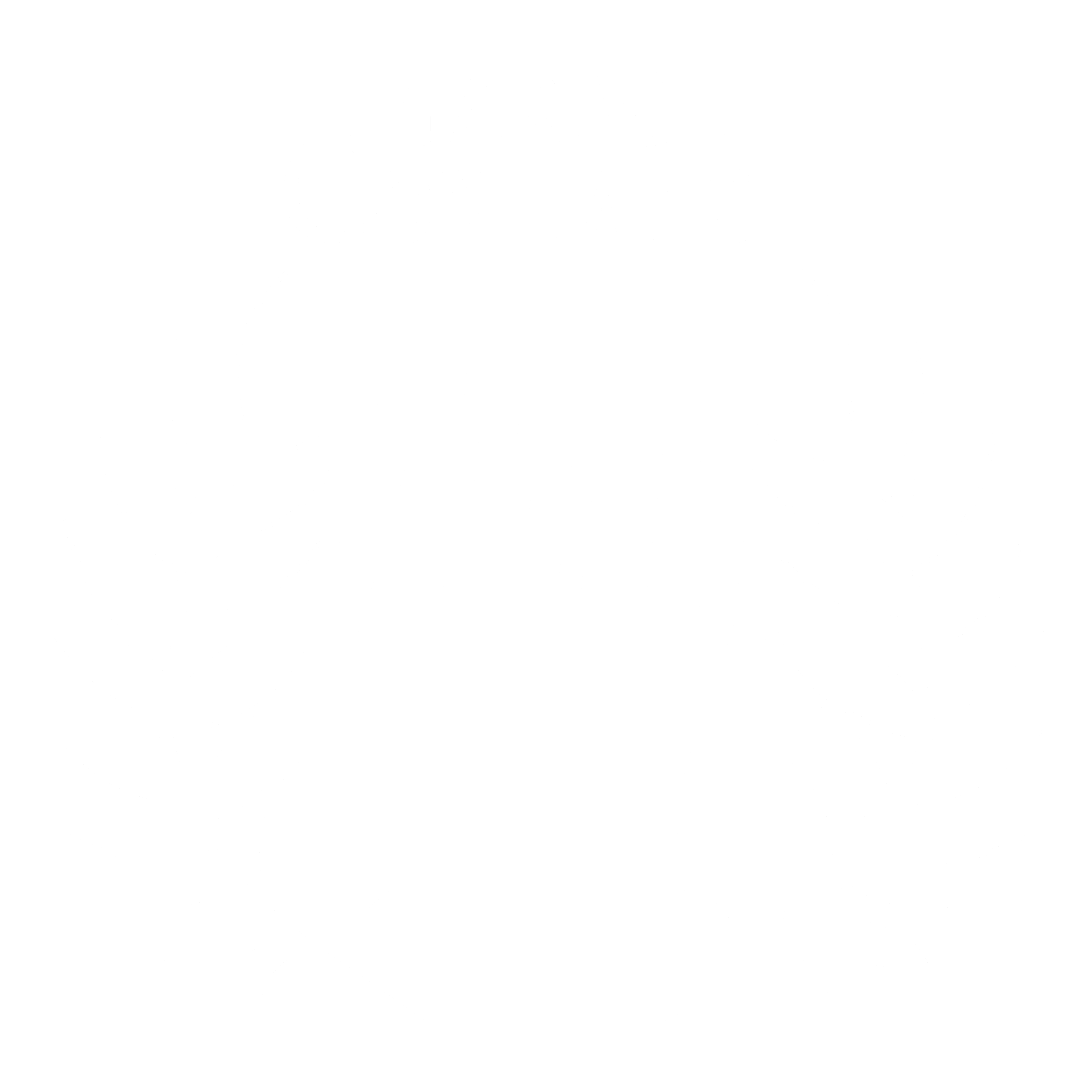 Auto Plus Logo black and white