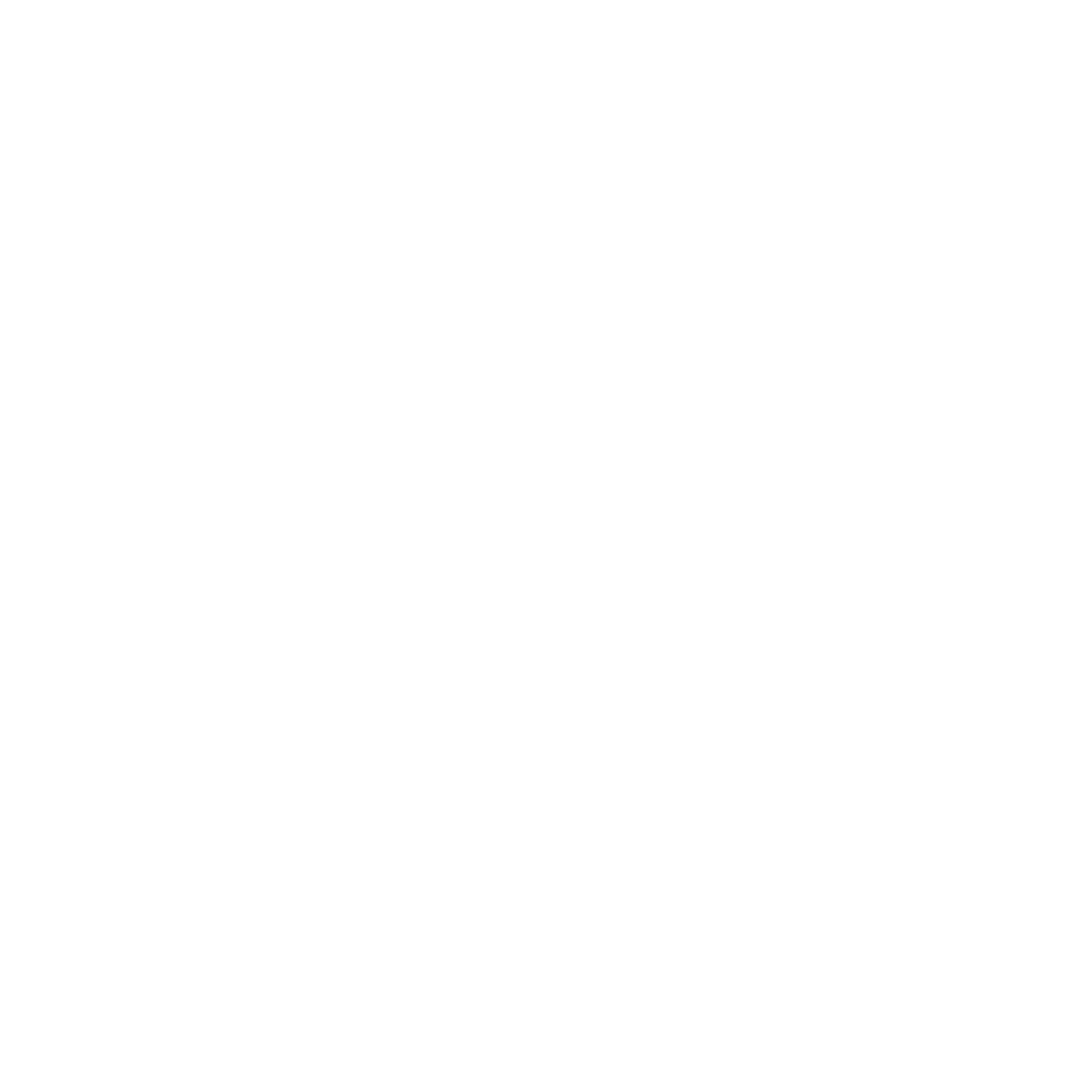 Axiom Systems Delivering Logo black and white