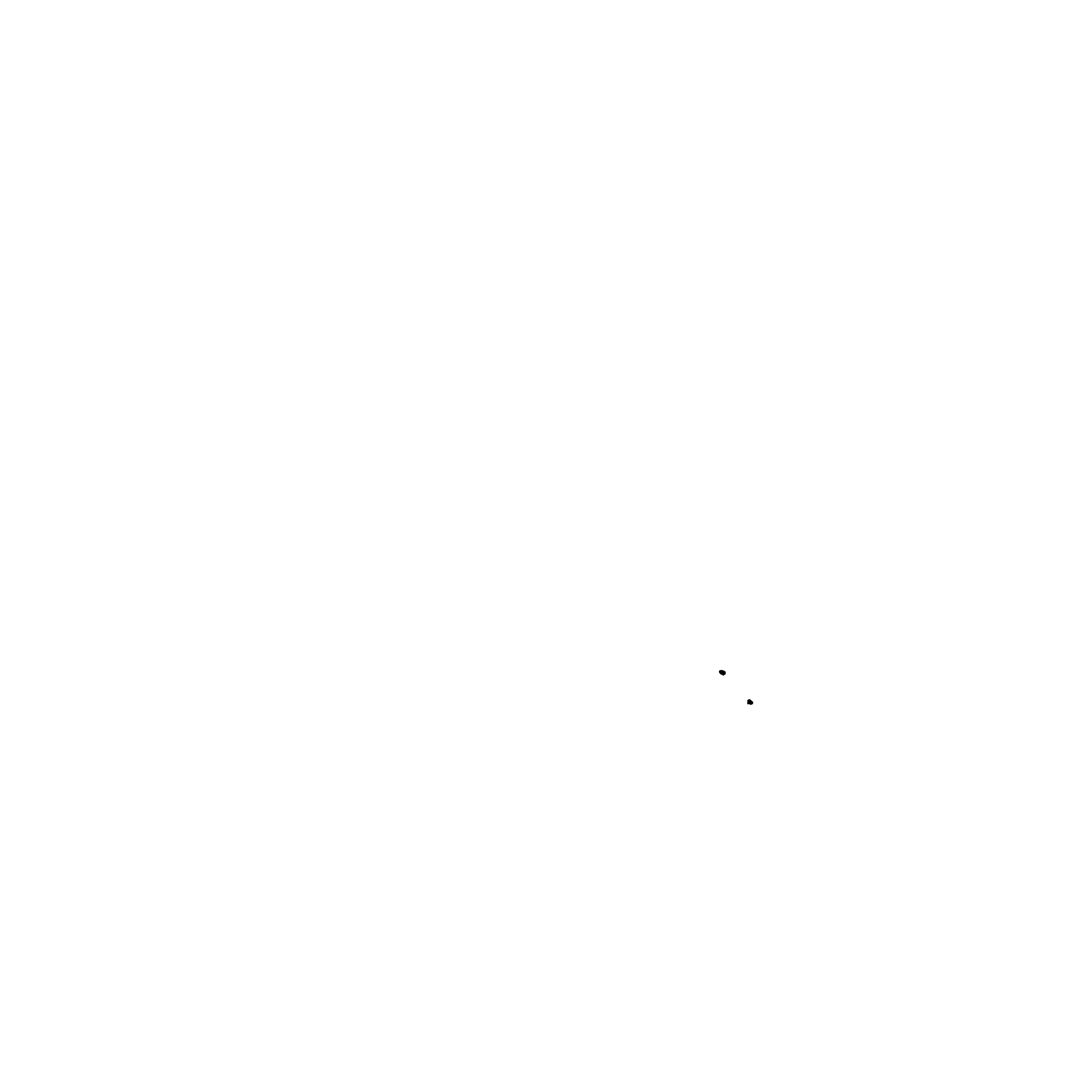 Baby Born Logo black and white