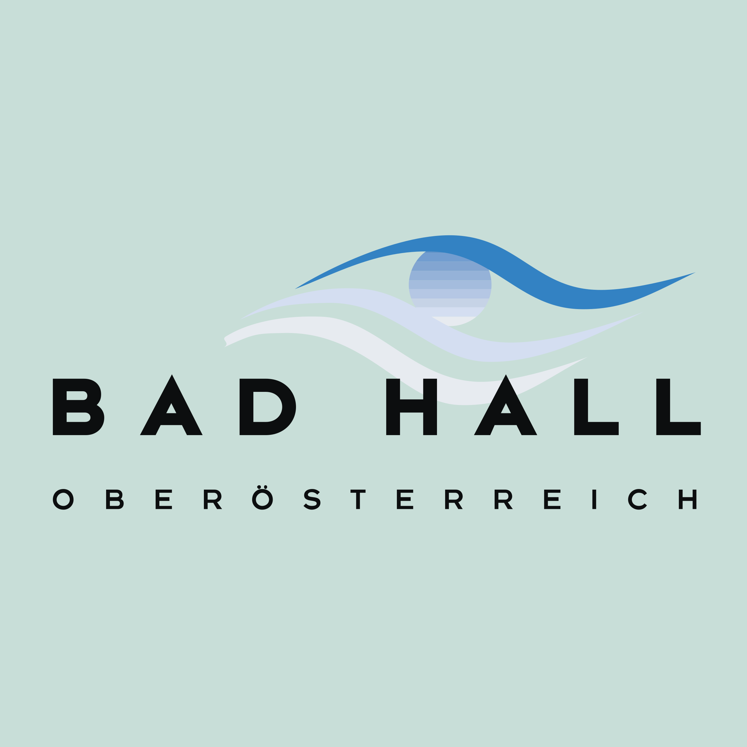 Bad Hall 01 Logo png transparent