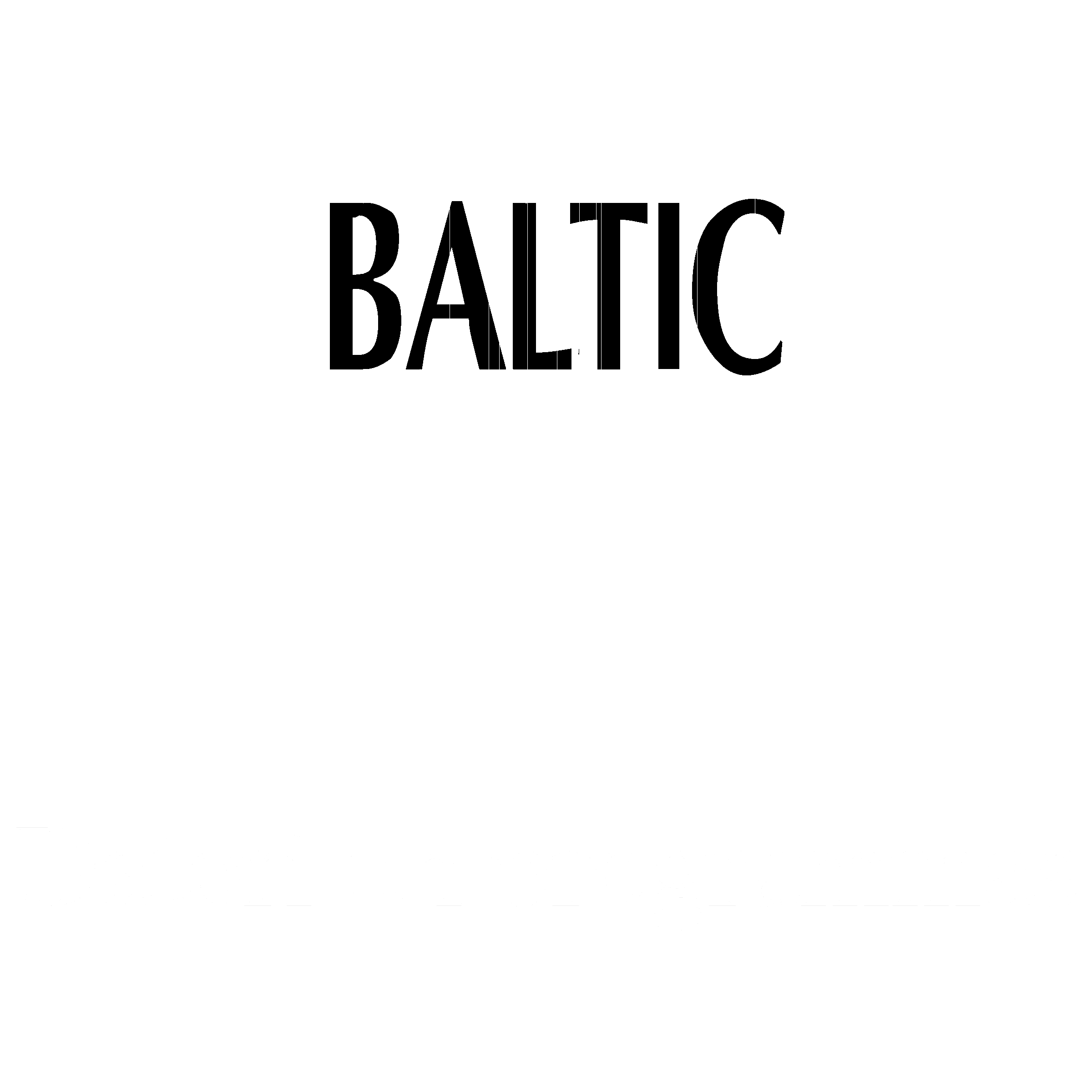 Baltic Data Logo black and white