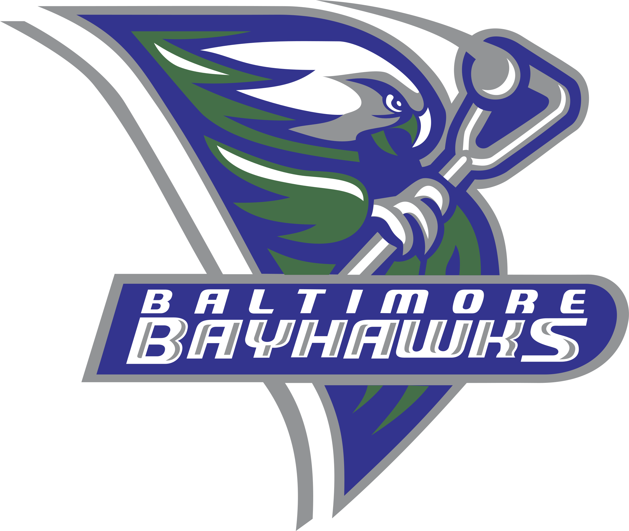 Baltimore Bayhawks 03 Logo png transparent