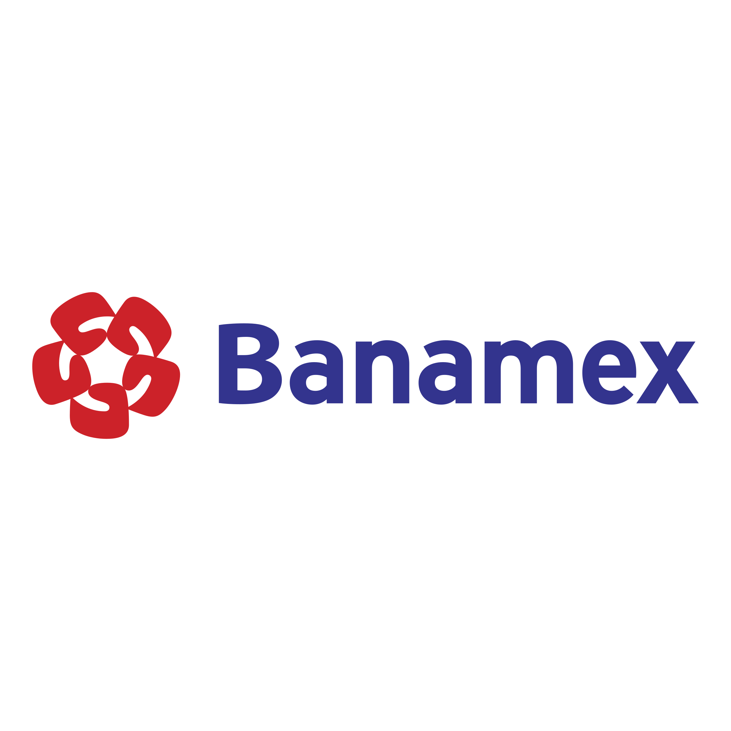 Banamex Logo png transparent