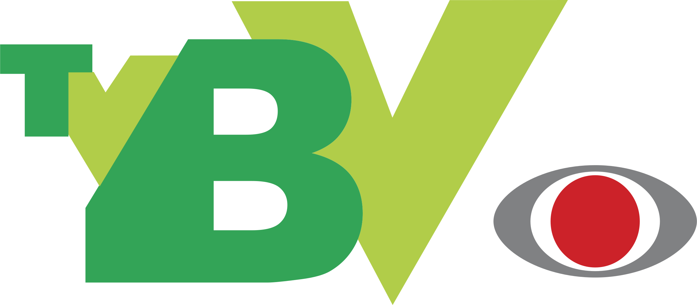 band tvbv Logo png transparent