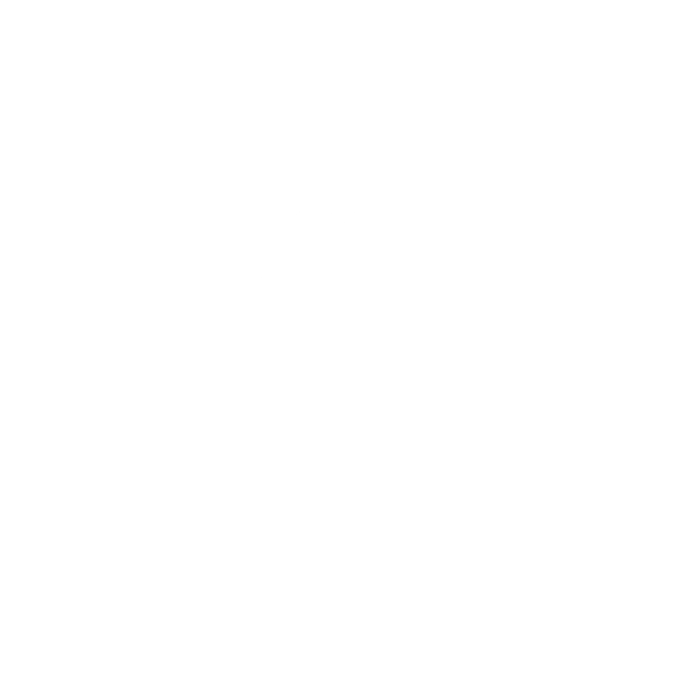 Basicnet Logo black and white