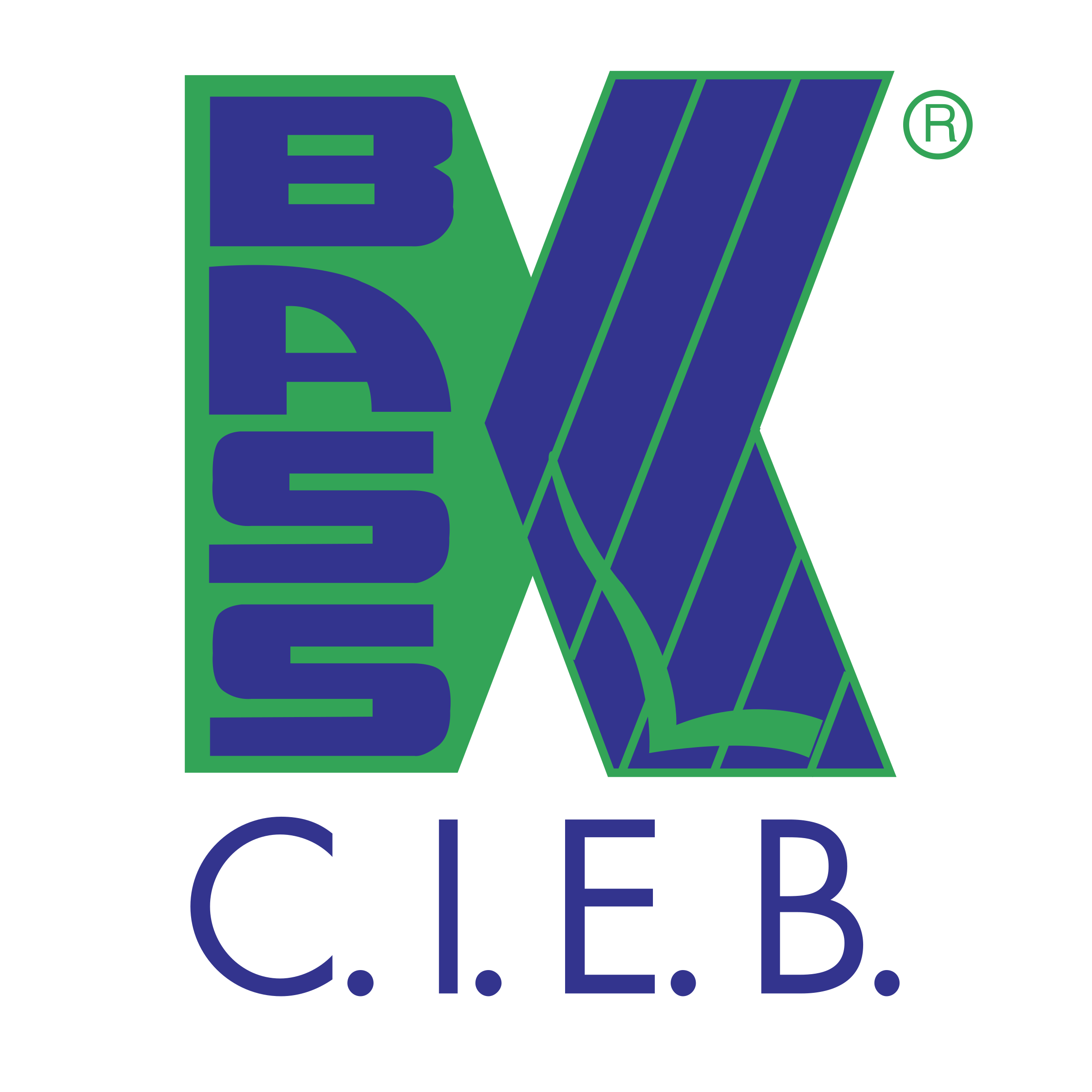 BASS CIEB Logo png transparent