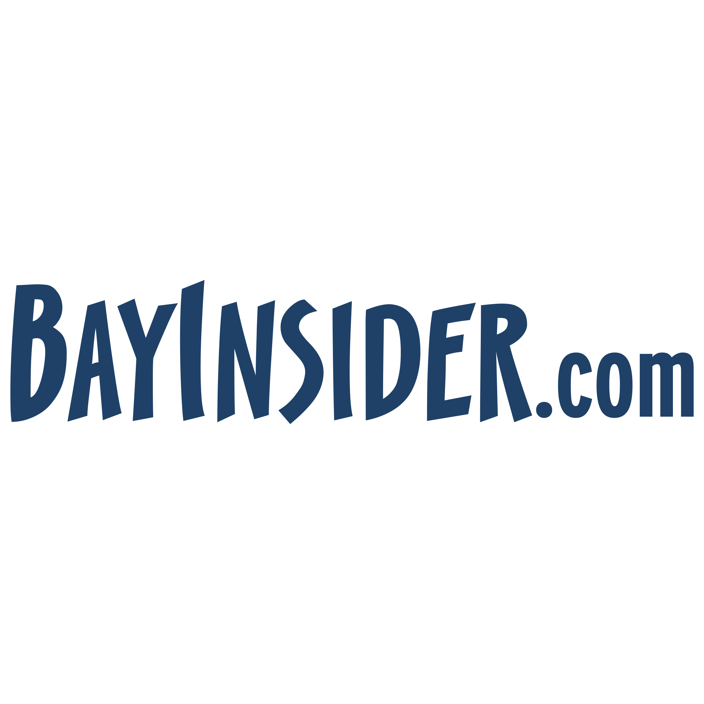 BayInsider Logo png transparent