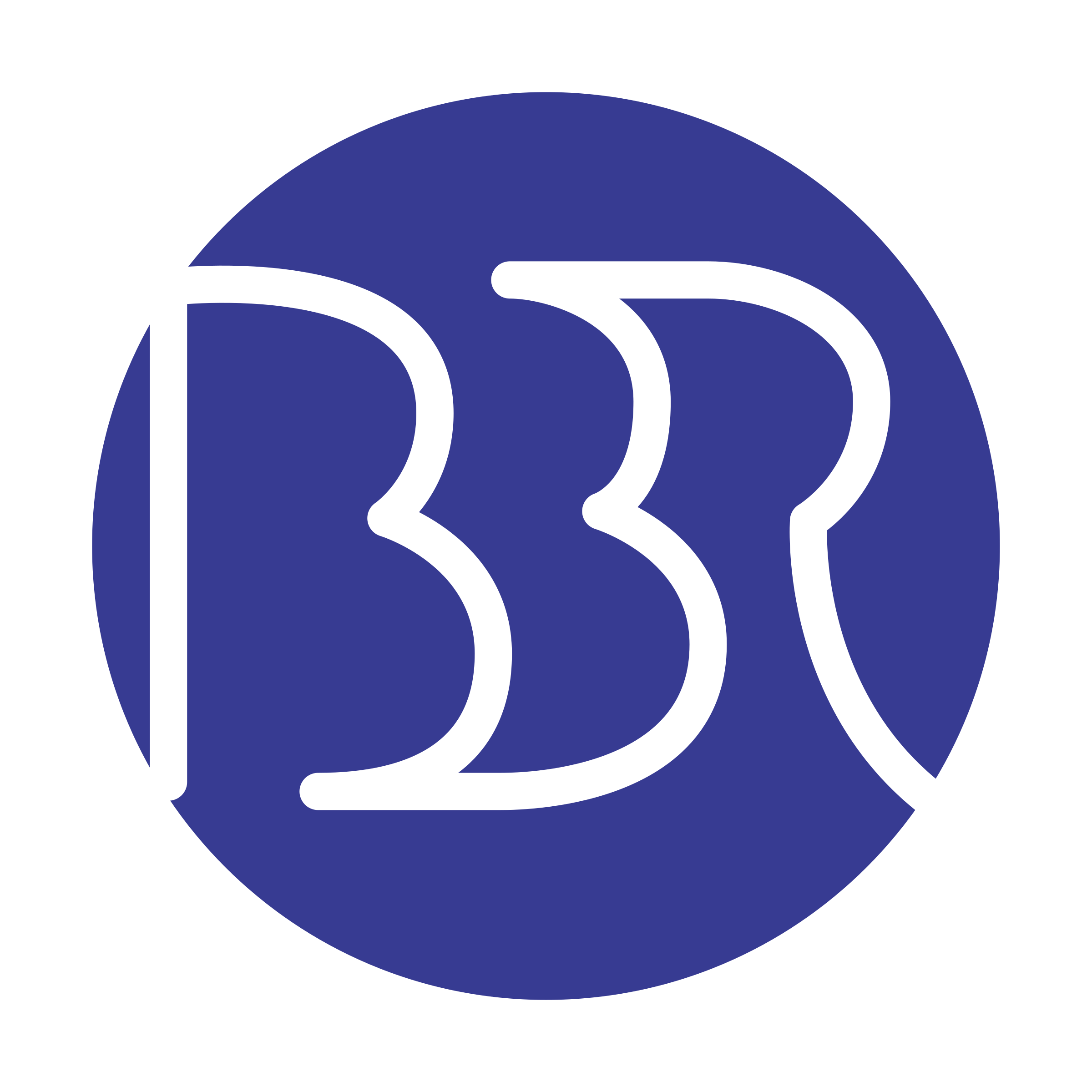BBR 01 Logo png transparent