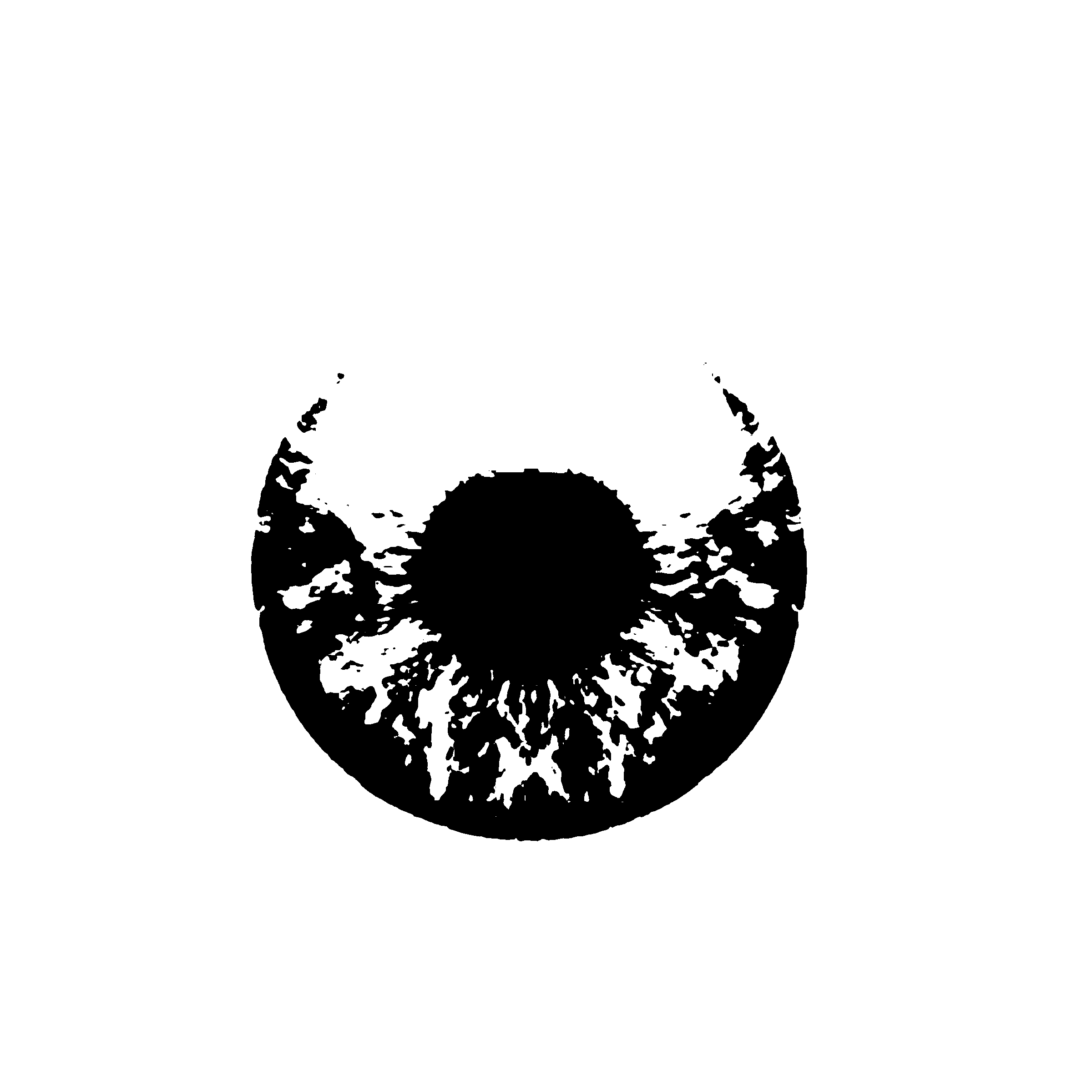 BC eye final Logo black and white