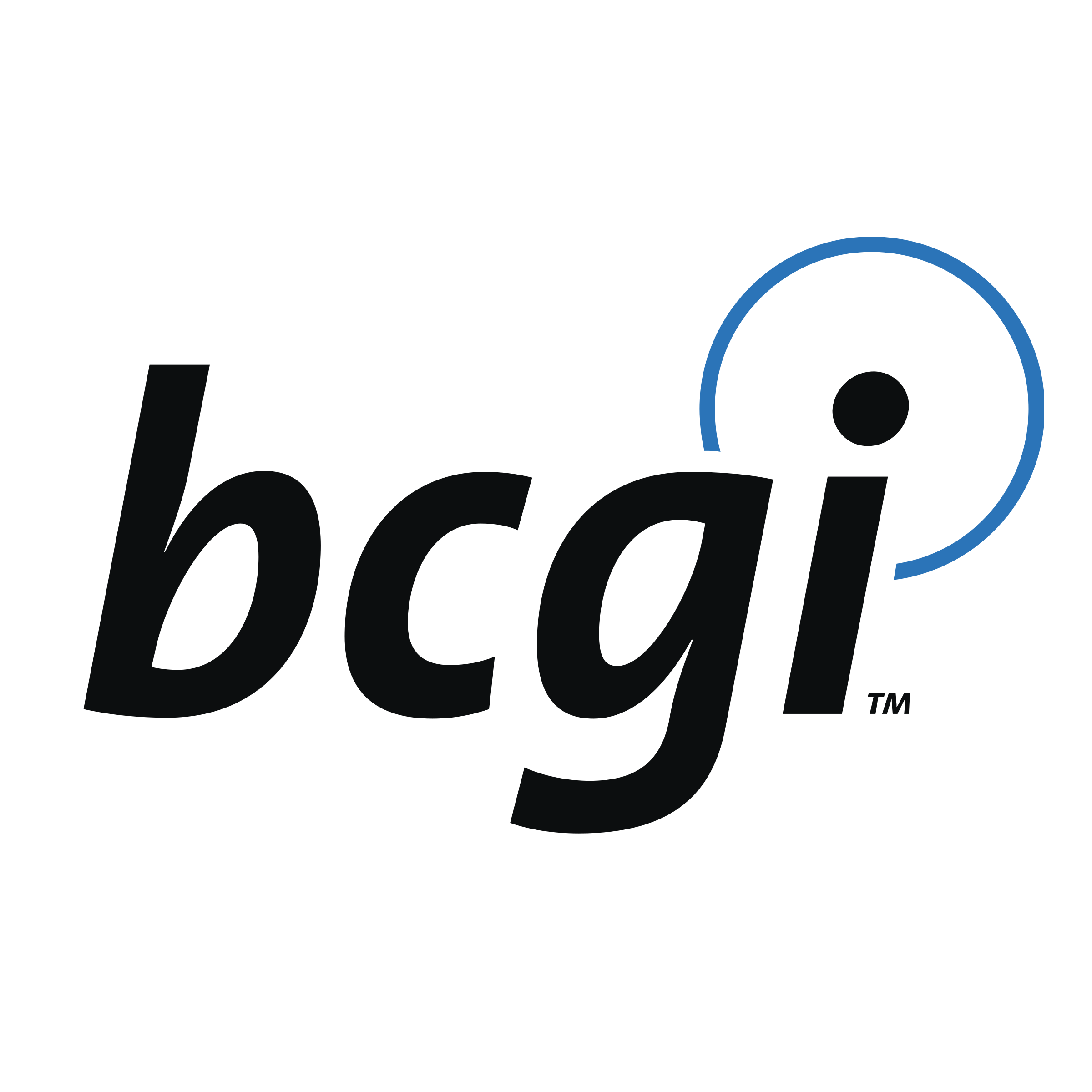 bcgi 01 Logo png transparent