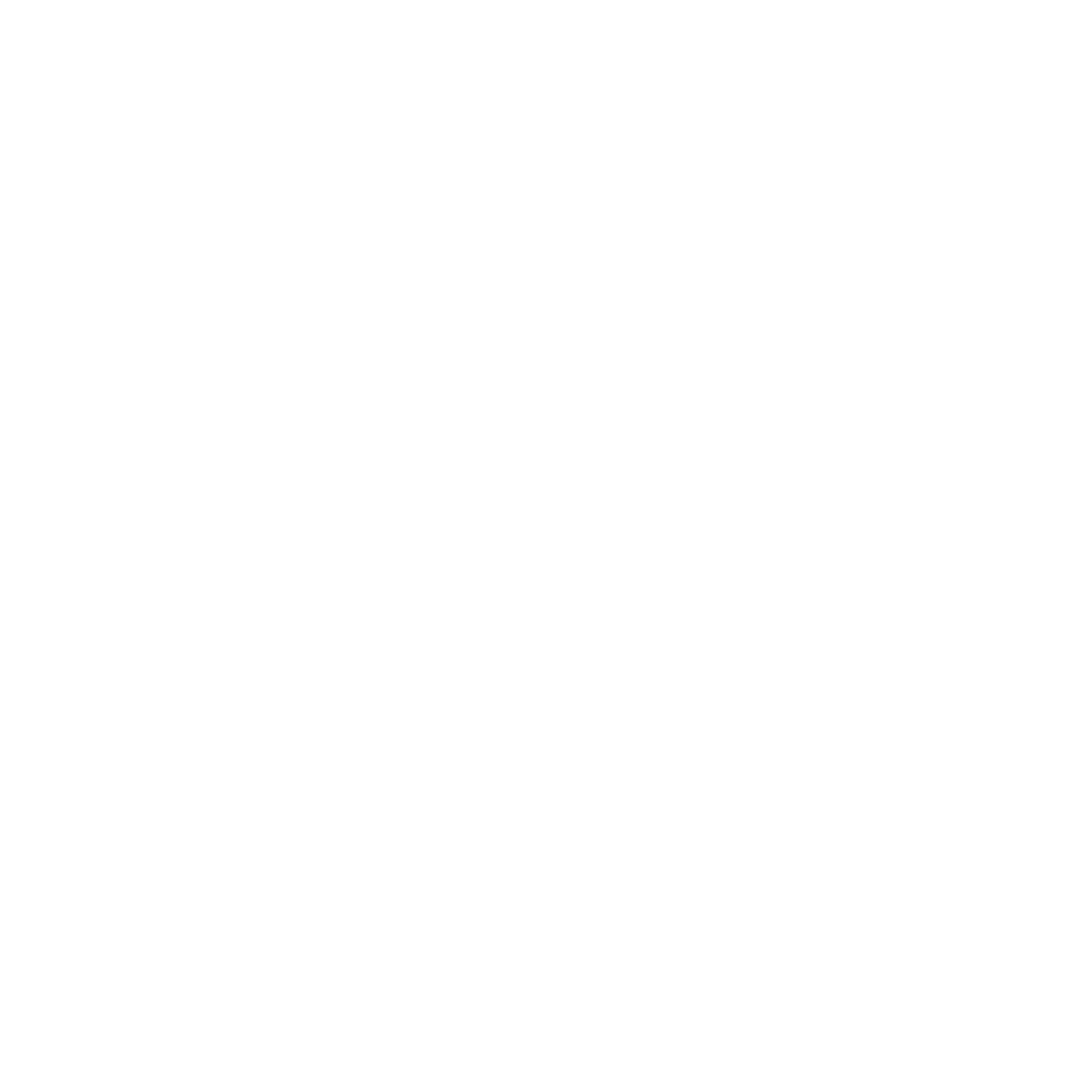 BDO 01 Logo black and white