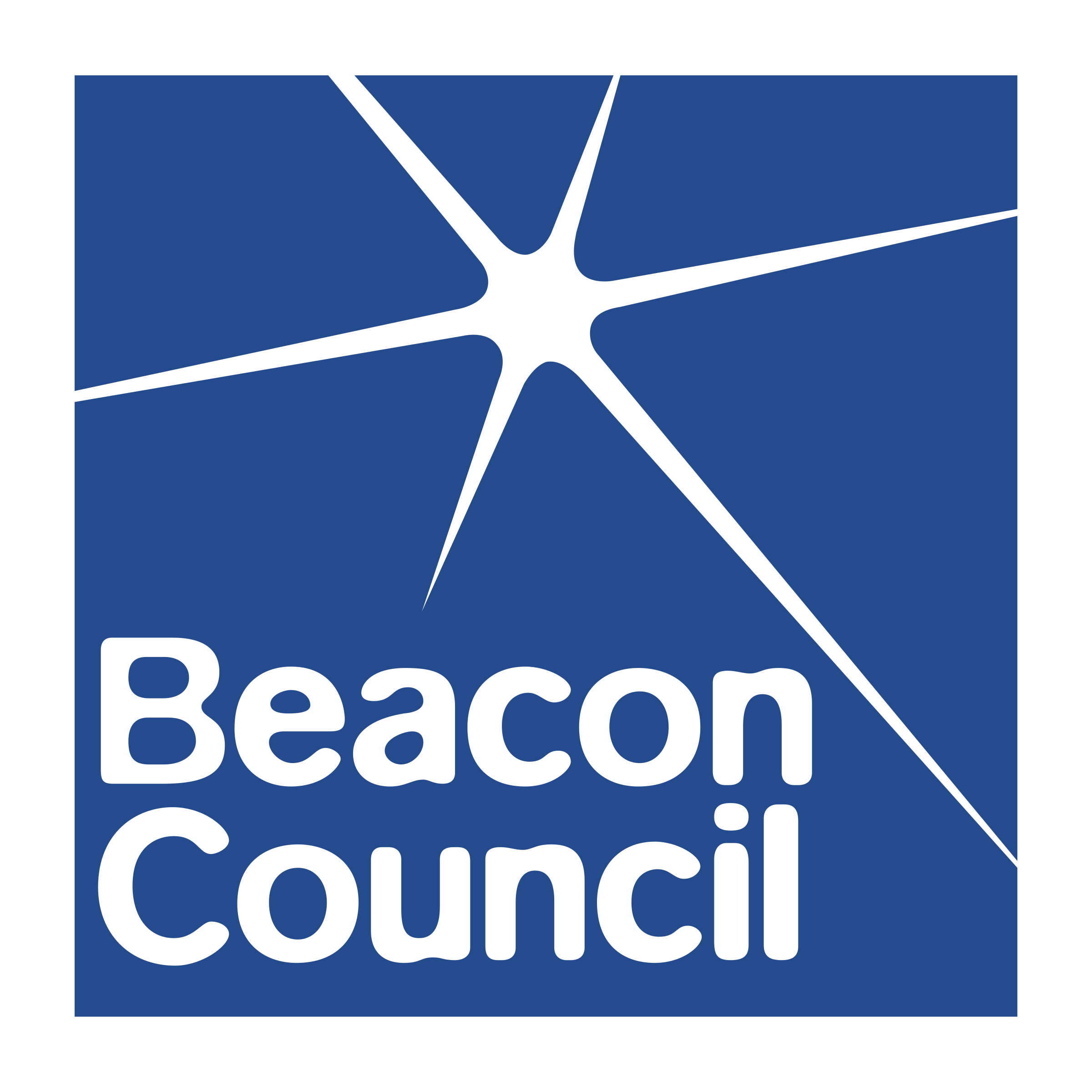 Beacon Council 01 Logo png transparent