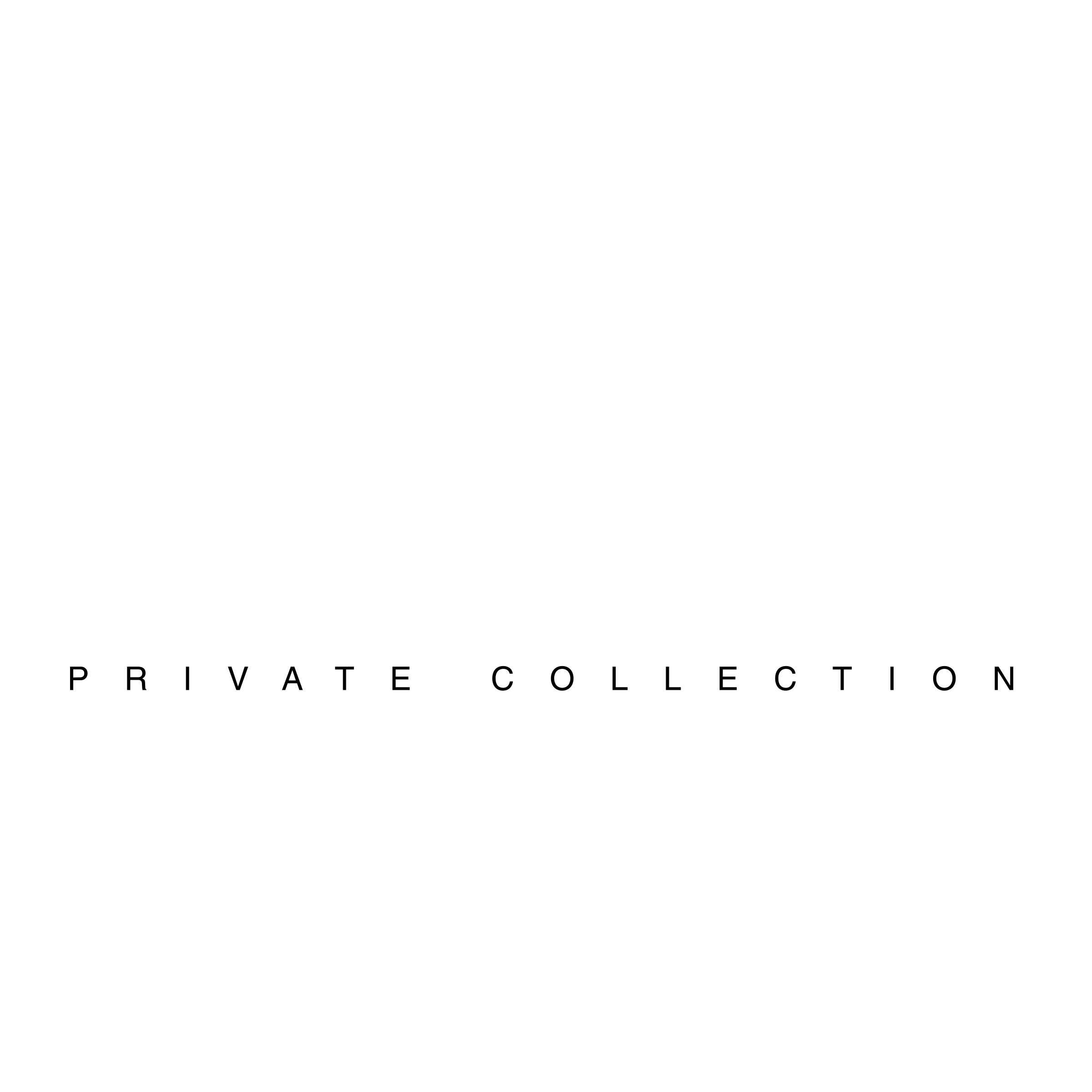 Beijing Snapshot Logo black and white