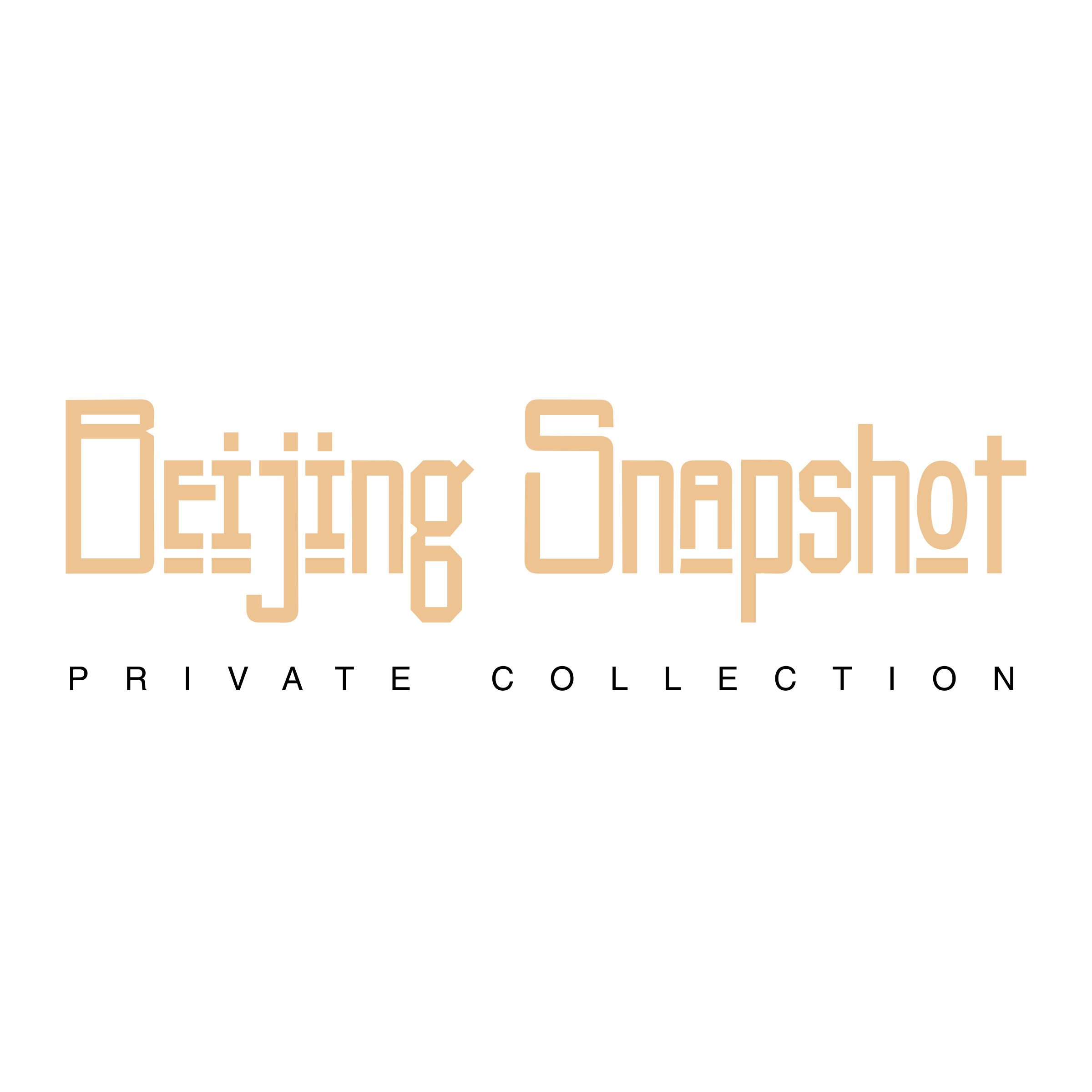 Beijing Snapshot Logo png transparent