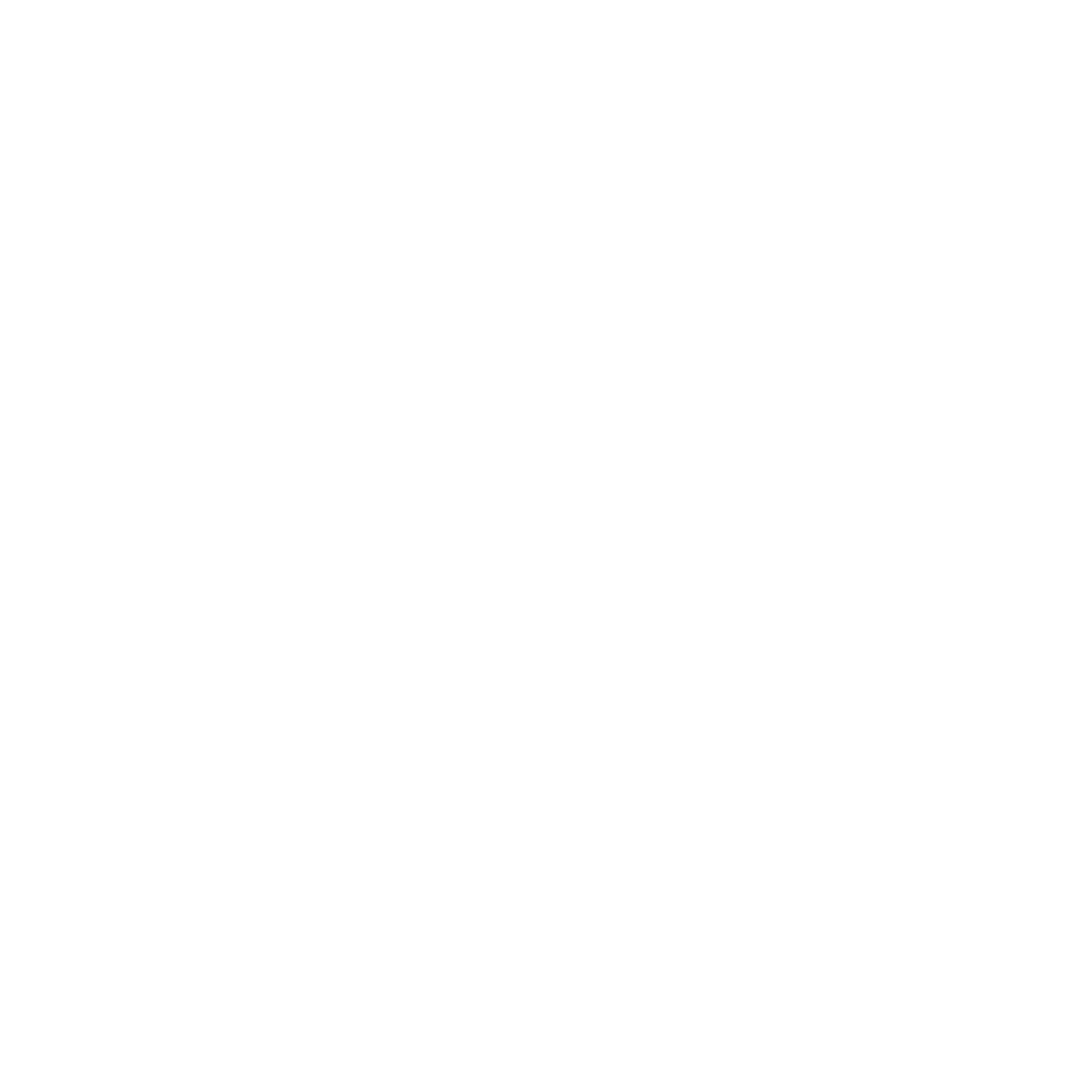Belshina Logo black and white