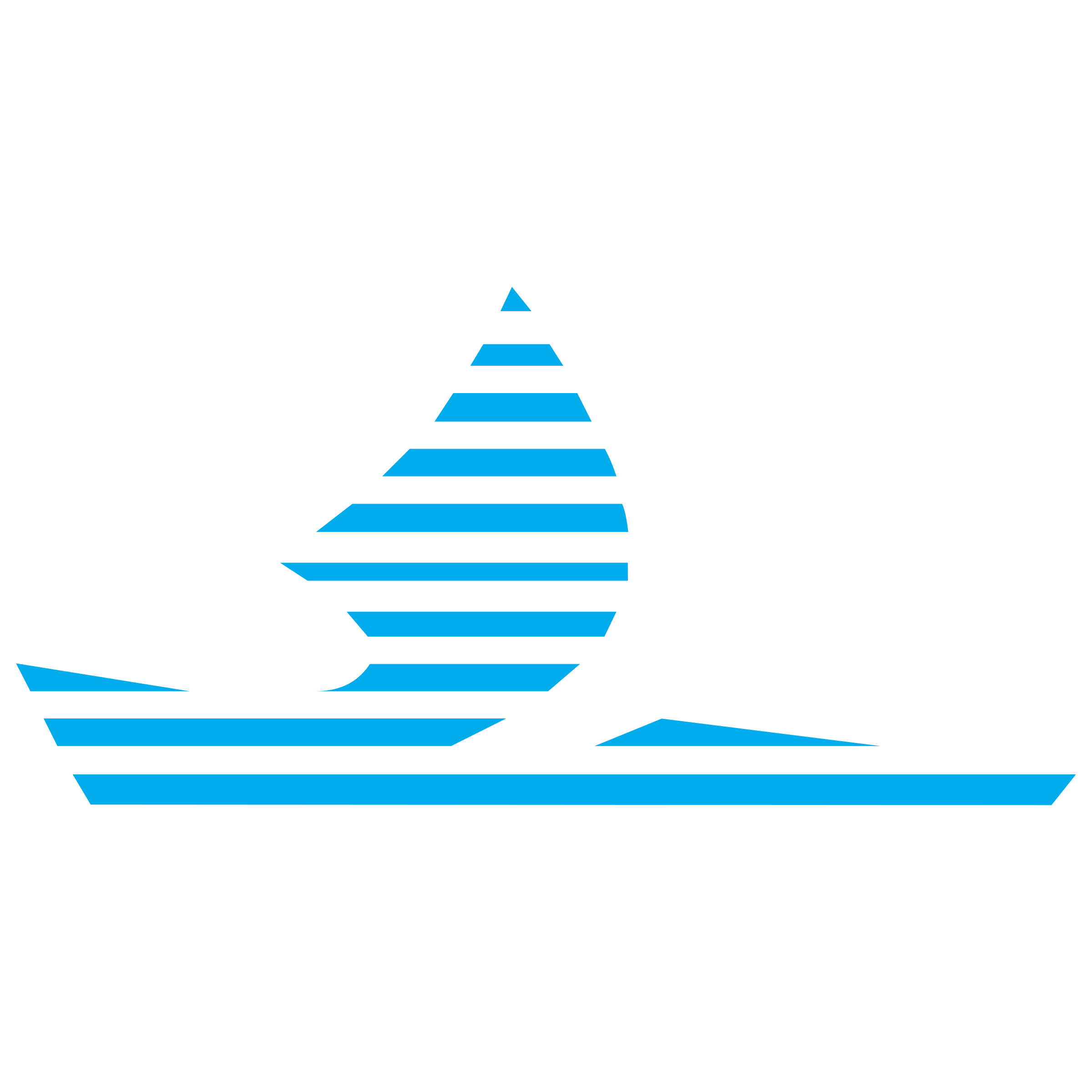 Belyj Veter Logo png transparent