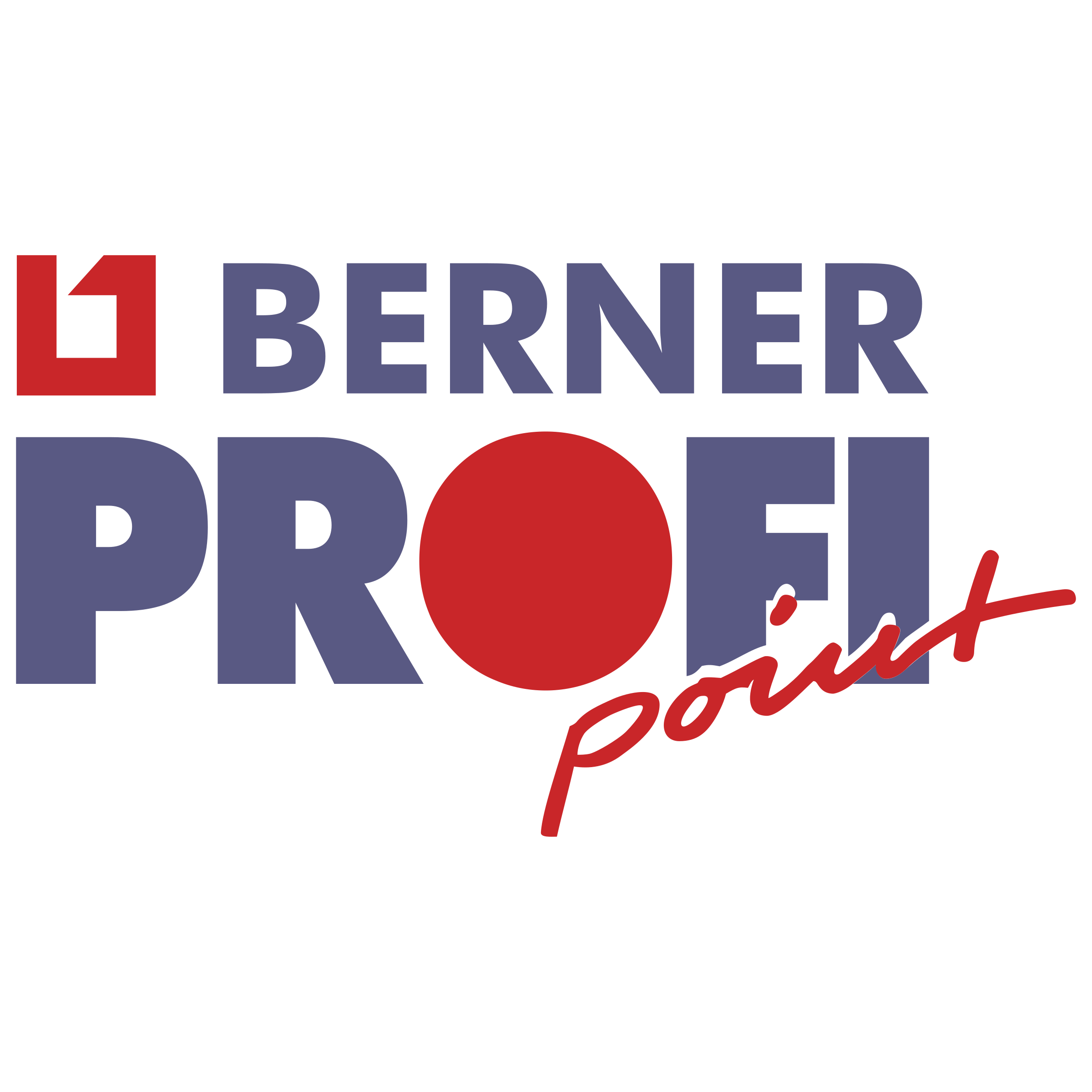 Berner Profi Point 01 Logo png transparent