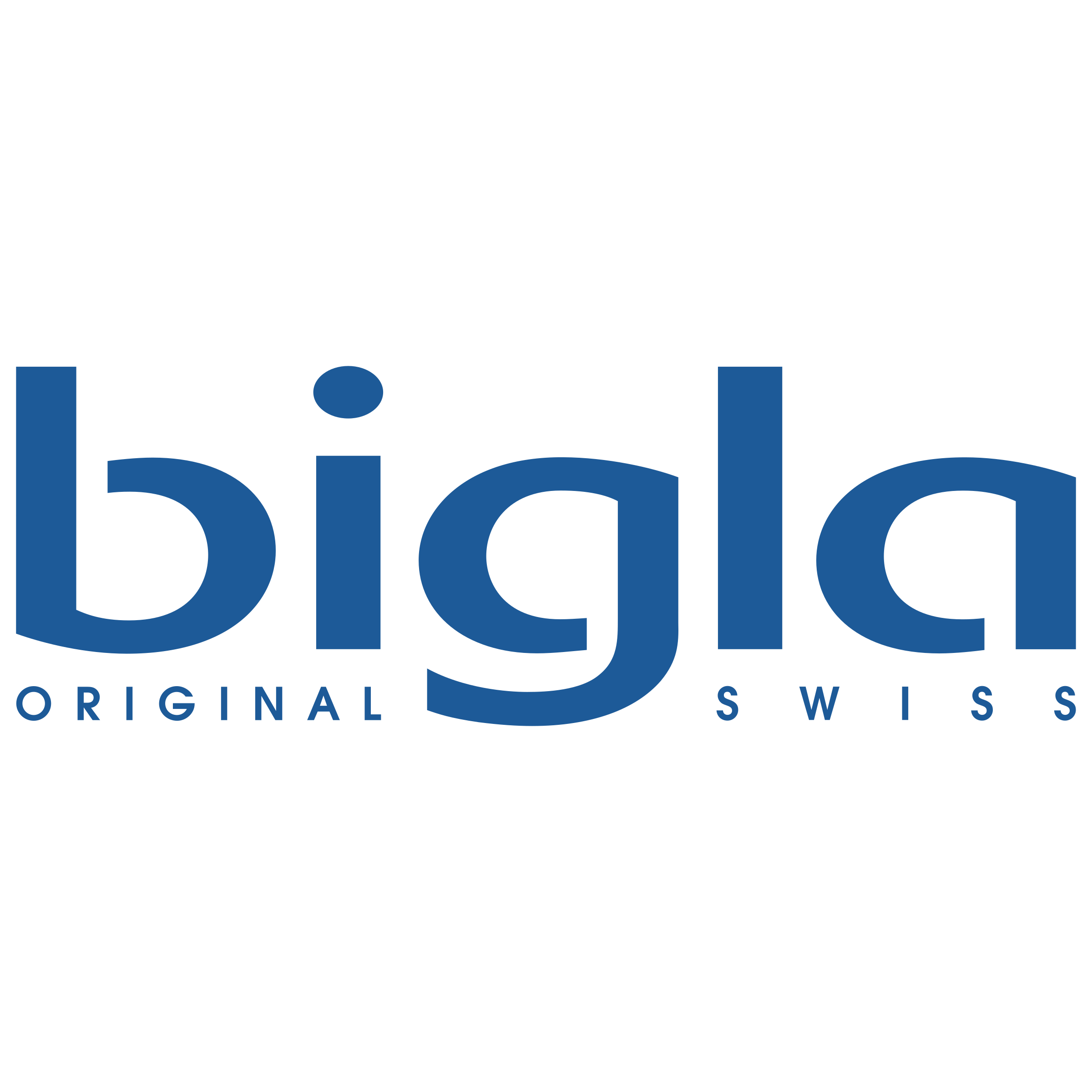 Bigla Logo png transparent