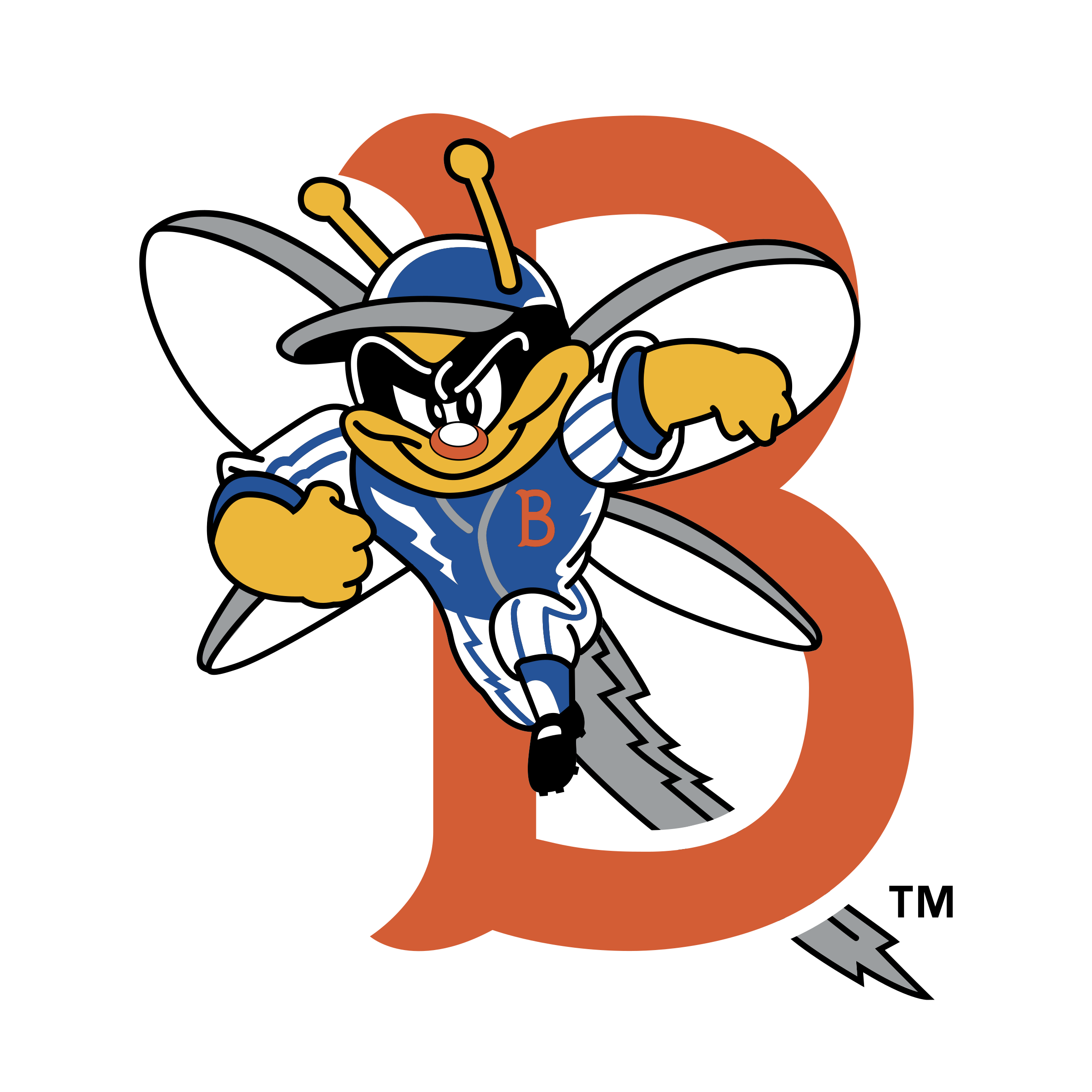 Binghamton Mets 01 Logo png transparent