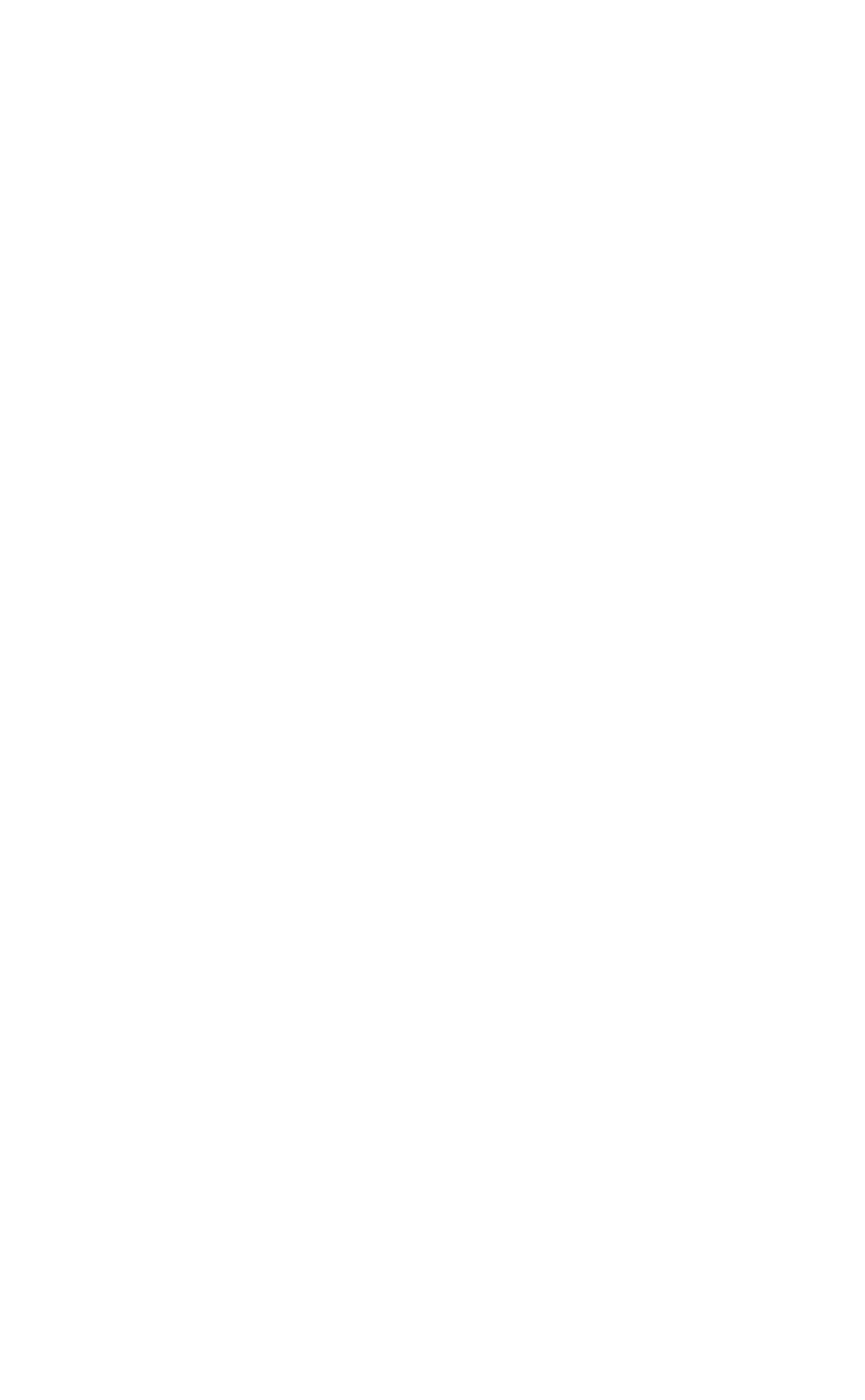 bitCNY Logo black and white