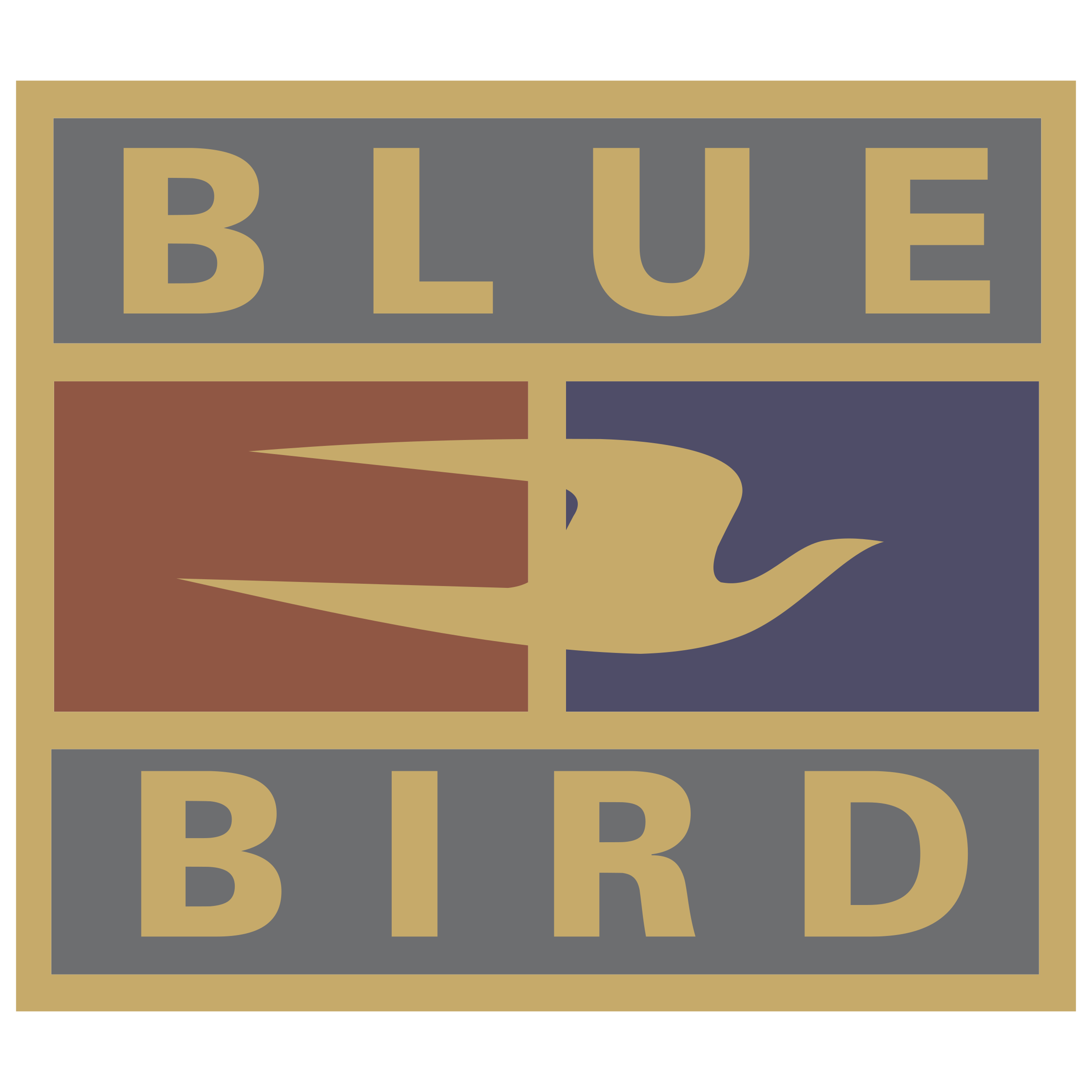 Blue Bird 905 Logo png transparent