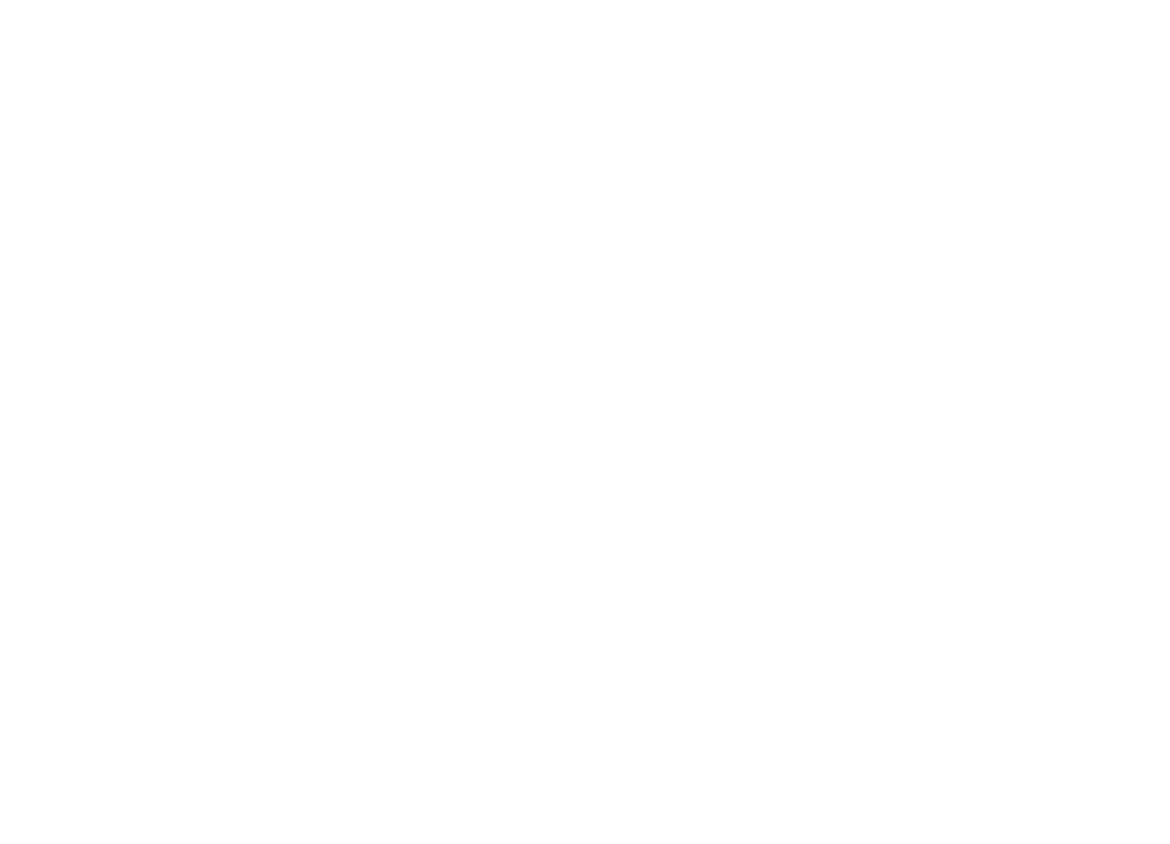 BLUE FLAG Logo black and white