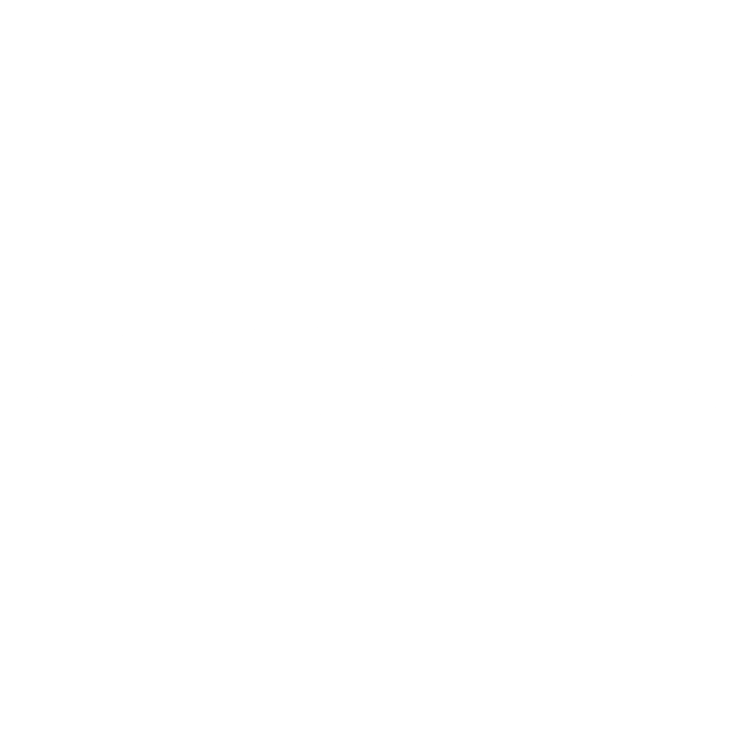 Bolle 01 Logo black and white