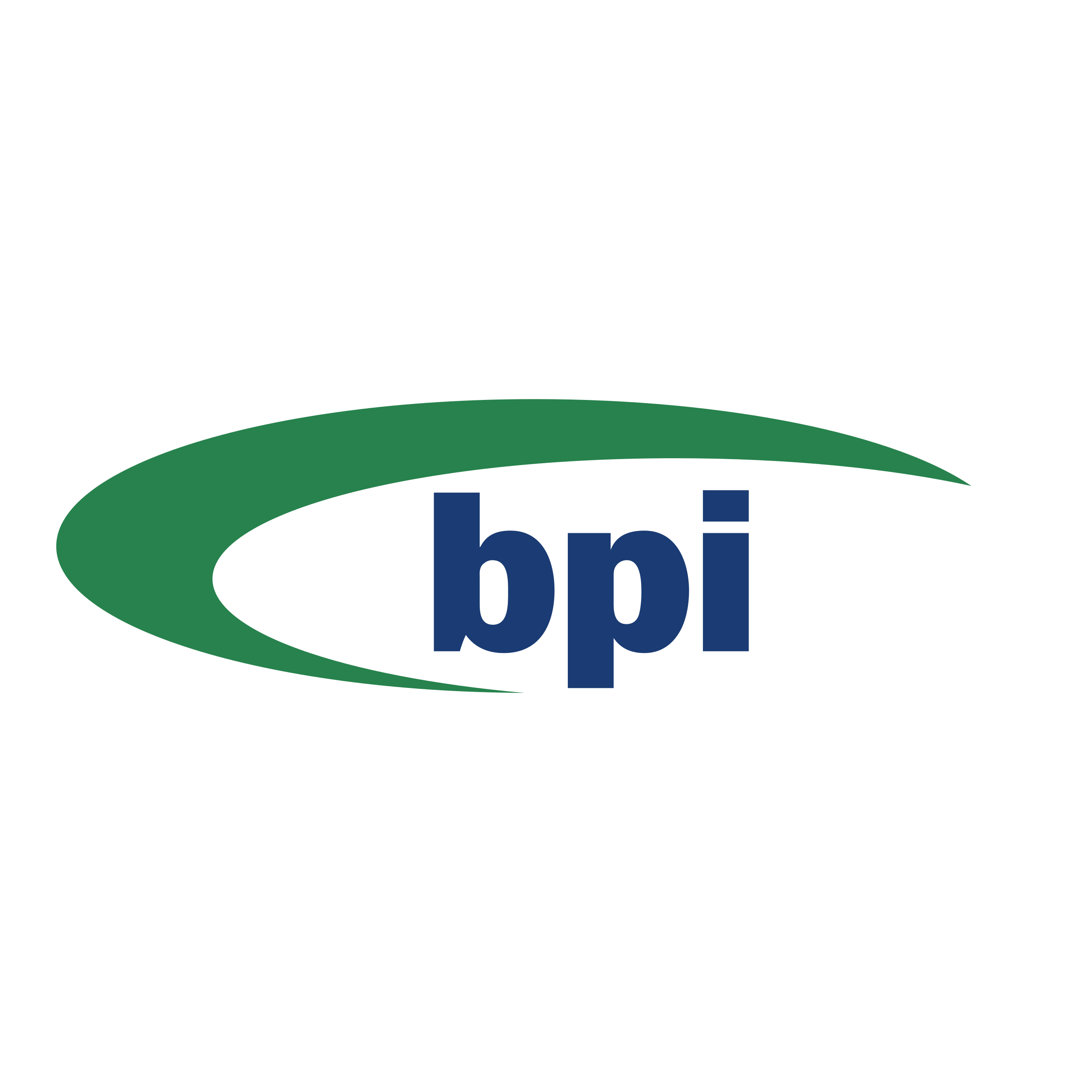 BPI 02 Logo png transparent
