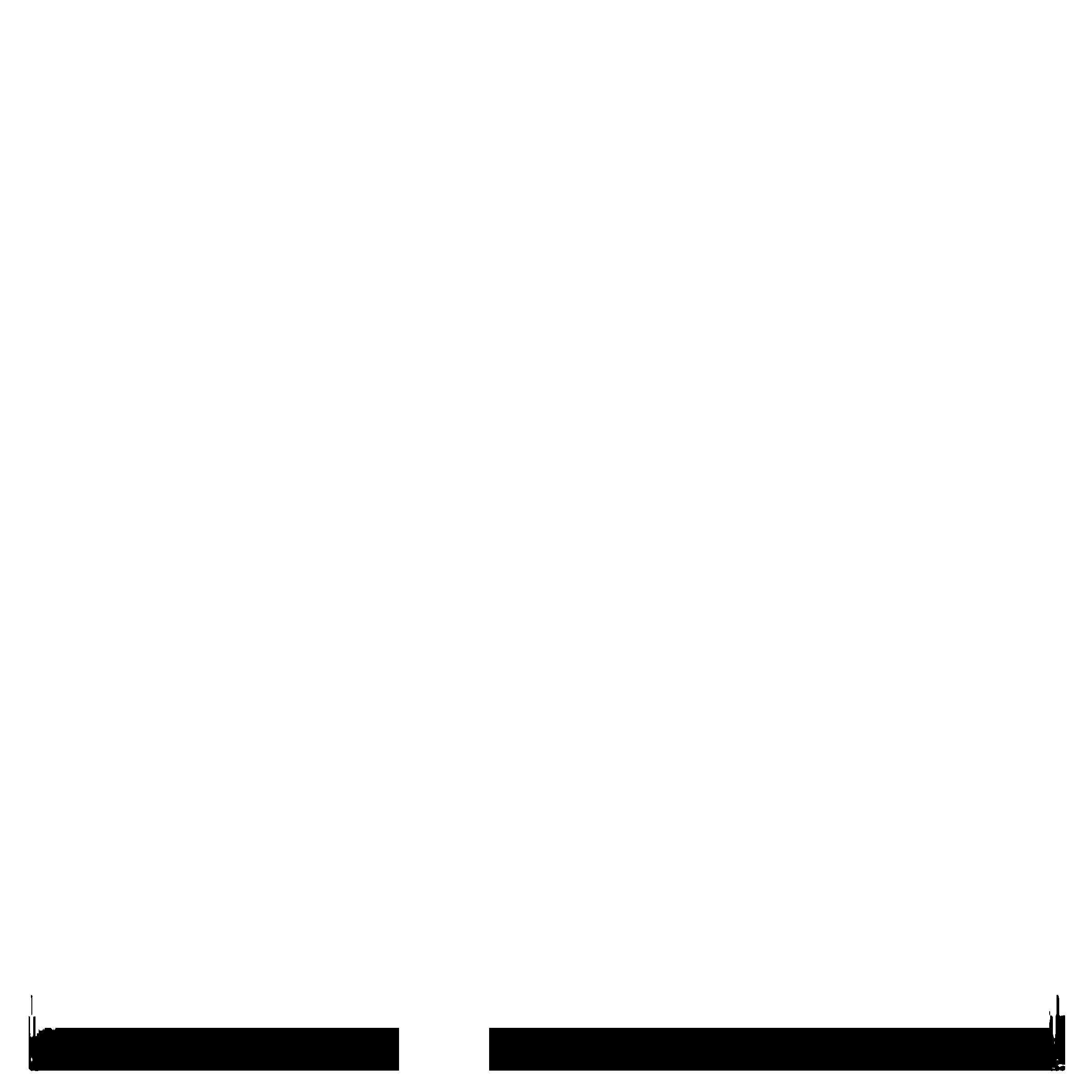 BPRI Logo black and white