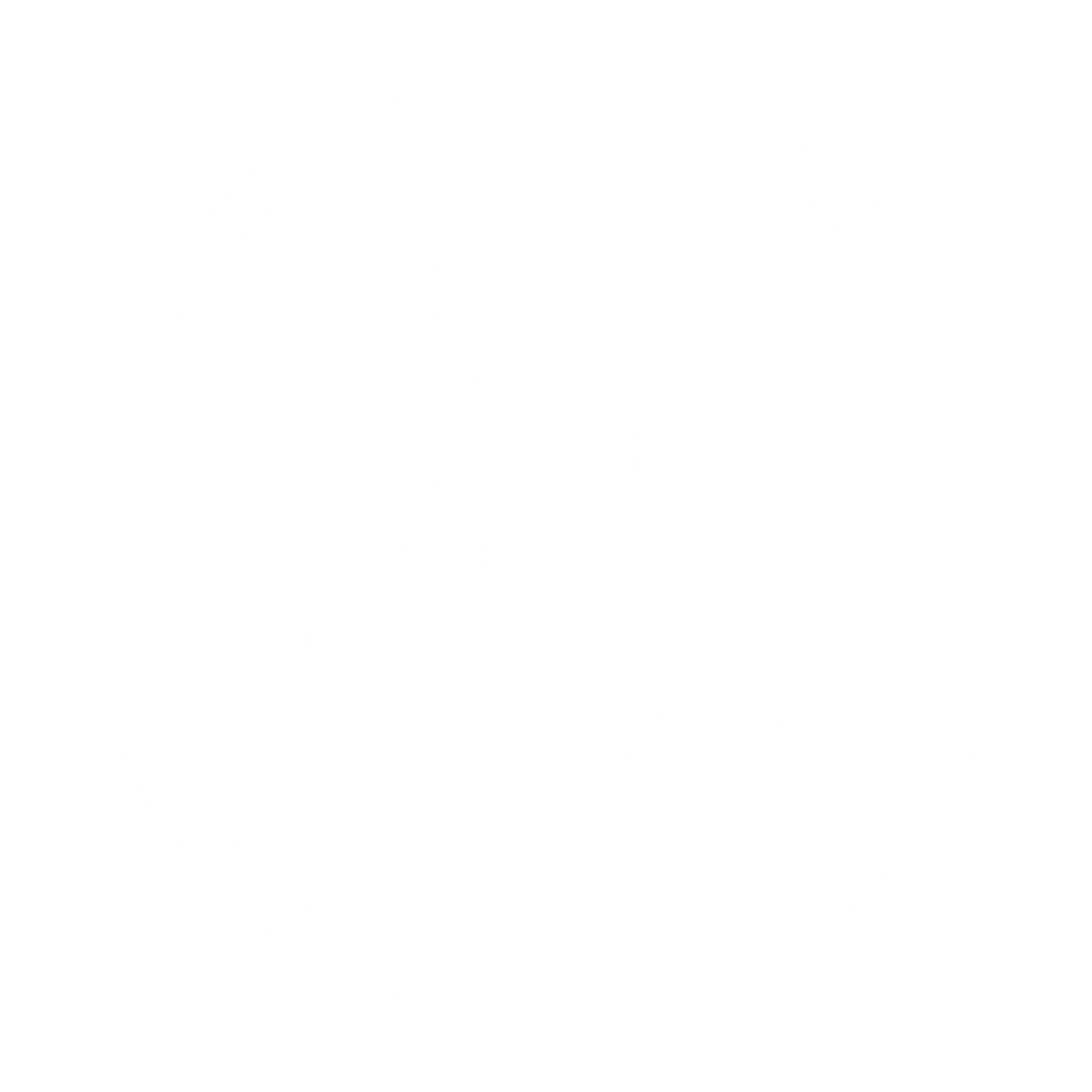 BPW Logo black and white