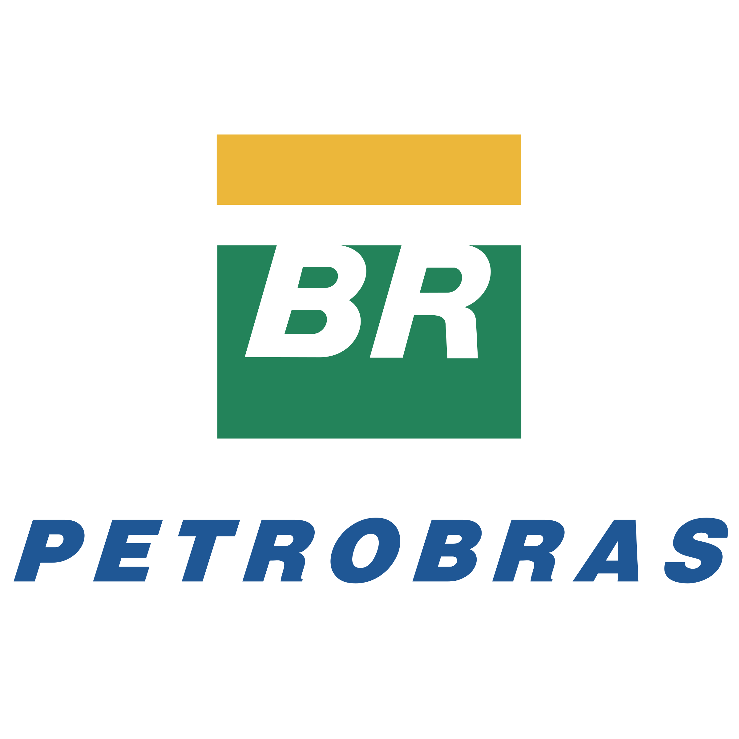 BR Petrobras Logo png transparent