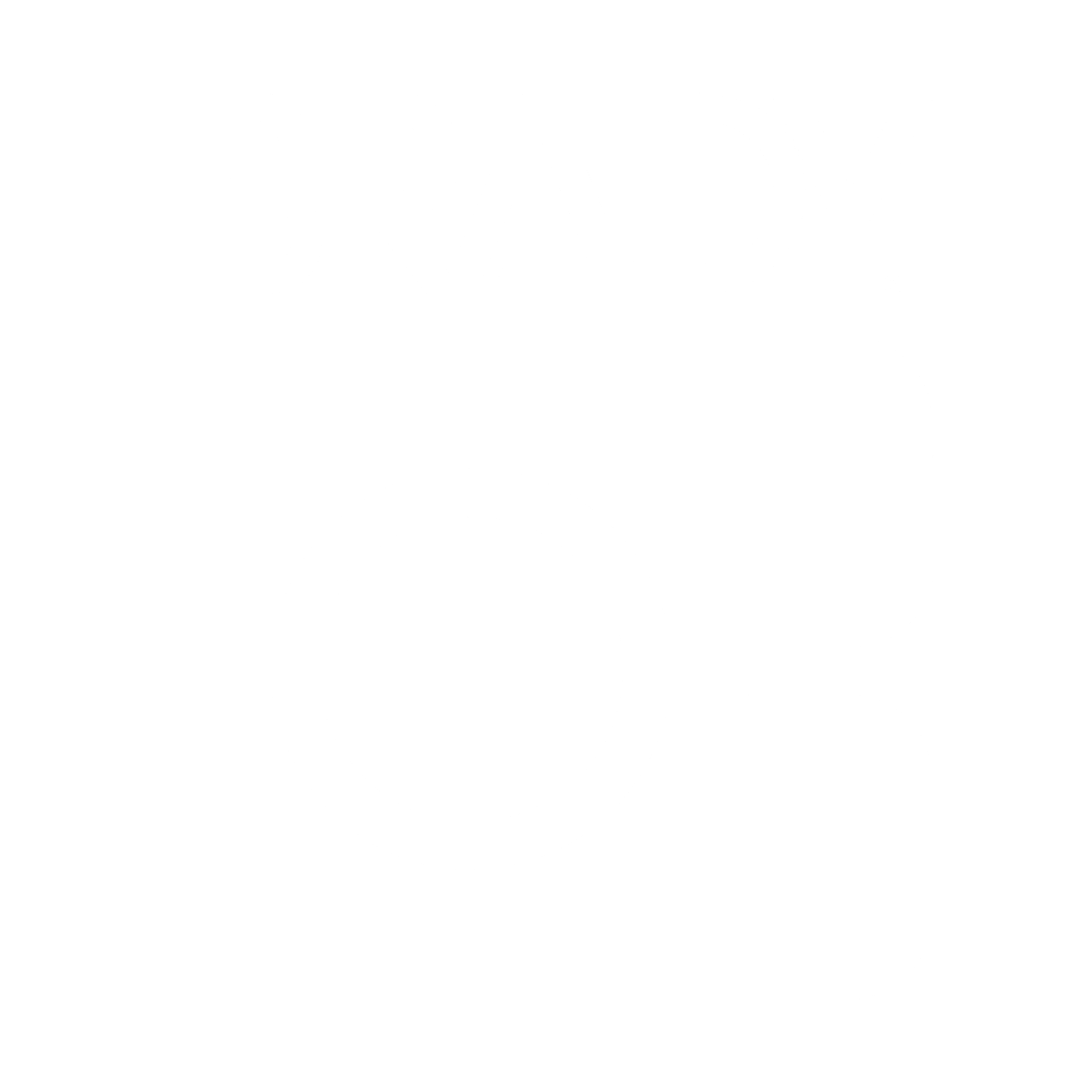 Brady Logo black and white
