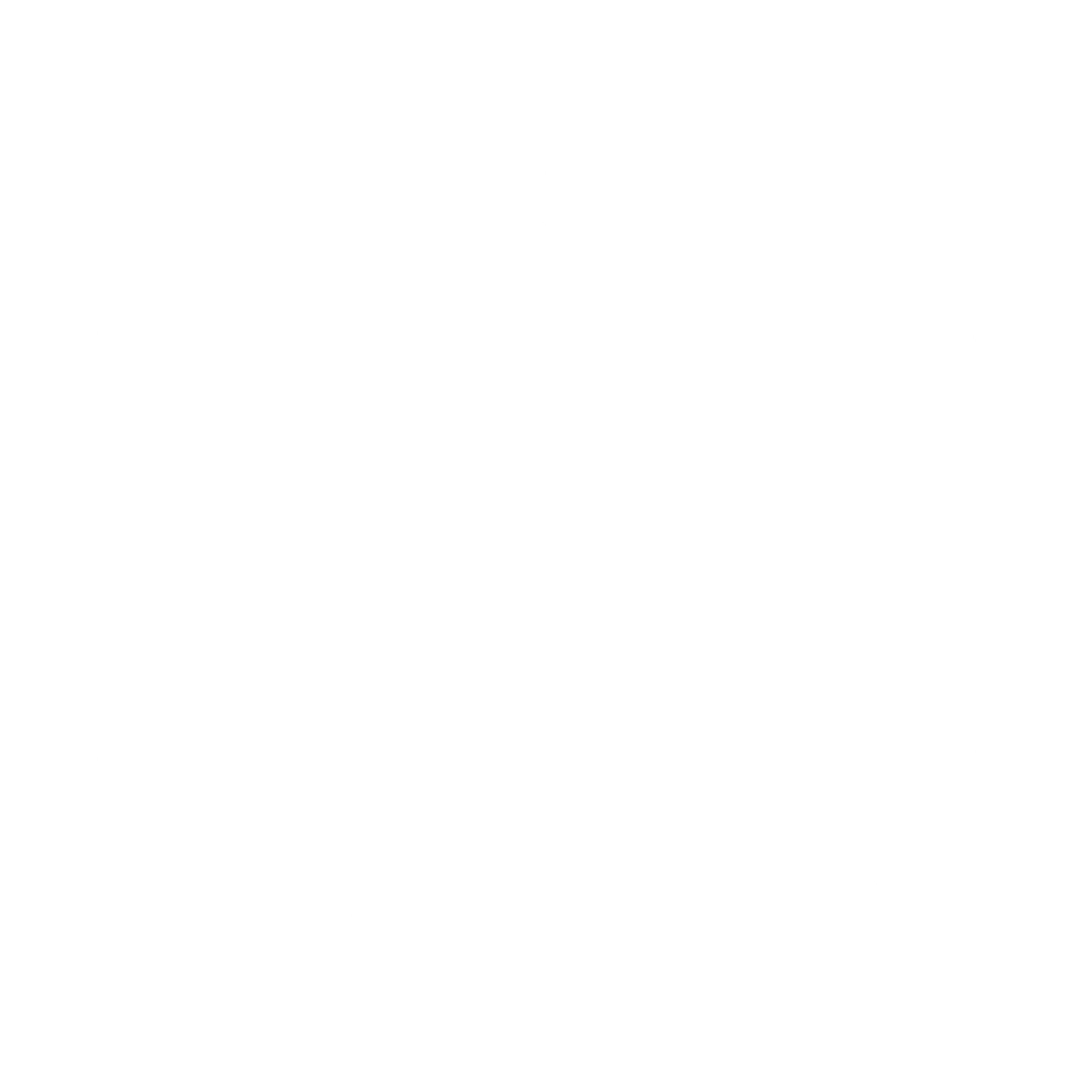Brasilia Esporte Clube de Brasilia DF 01 Logo black and white