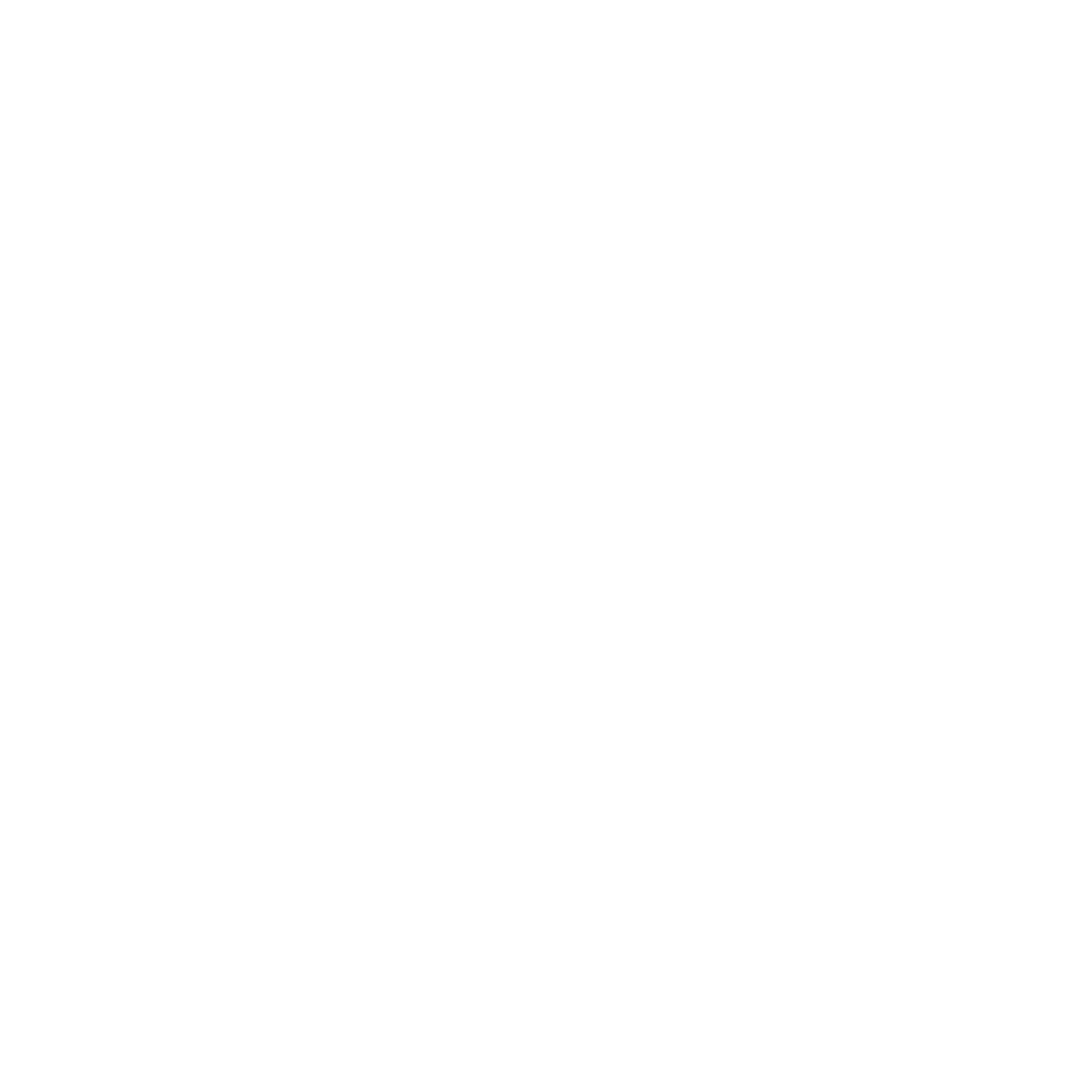Bravida Logo black and white