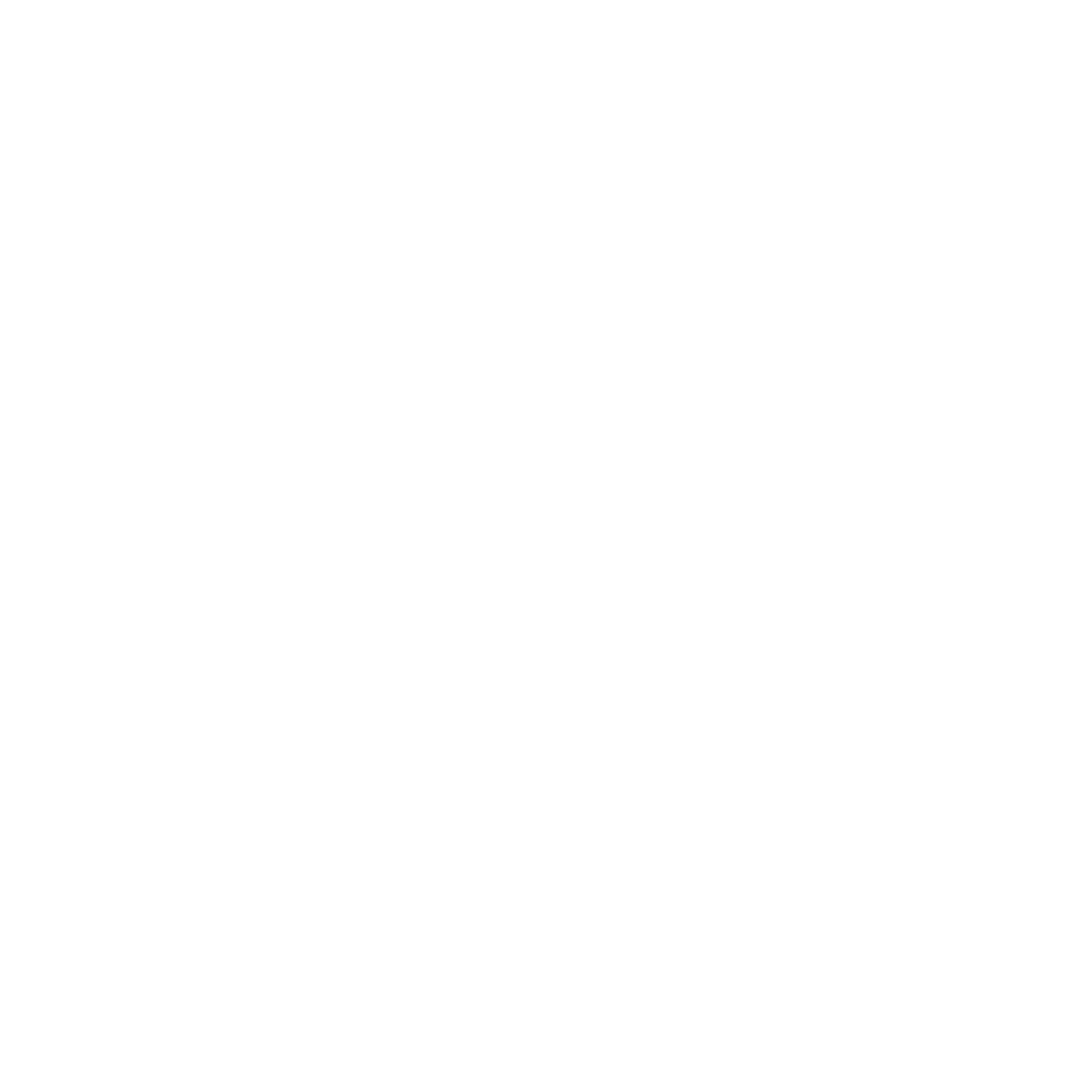 BrightLink Networks Logo black and white