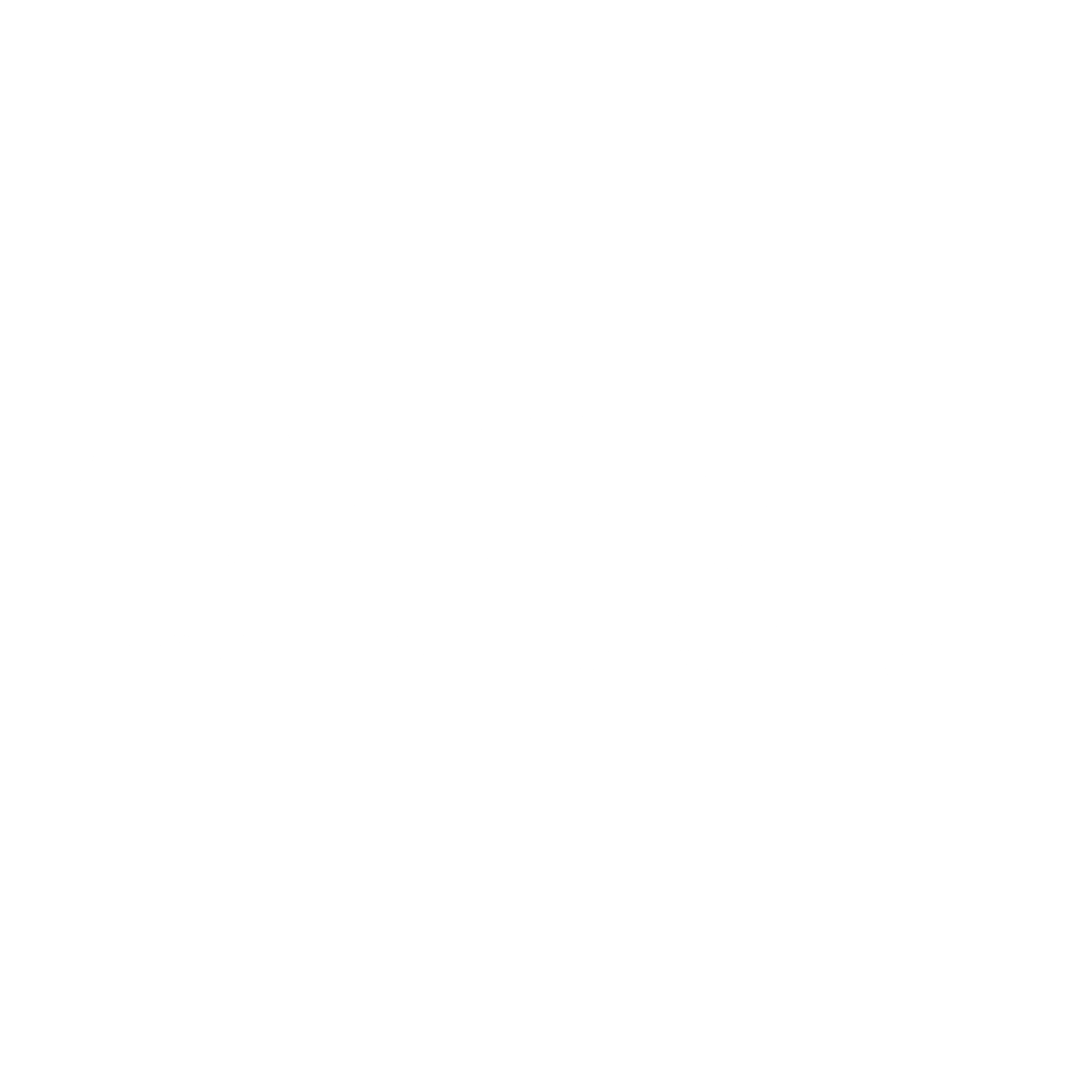 BroadVision Logo black and white