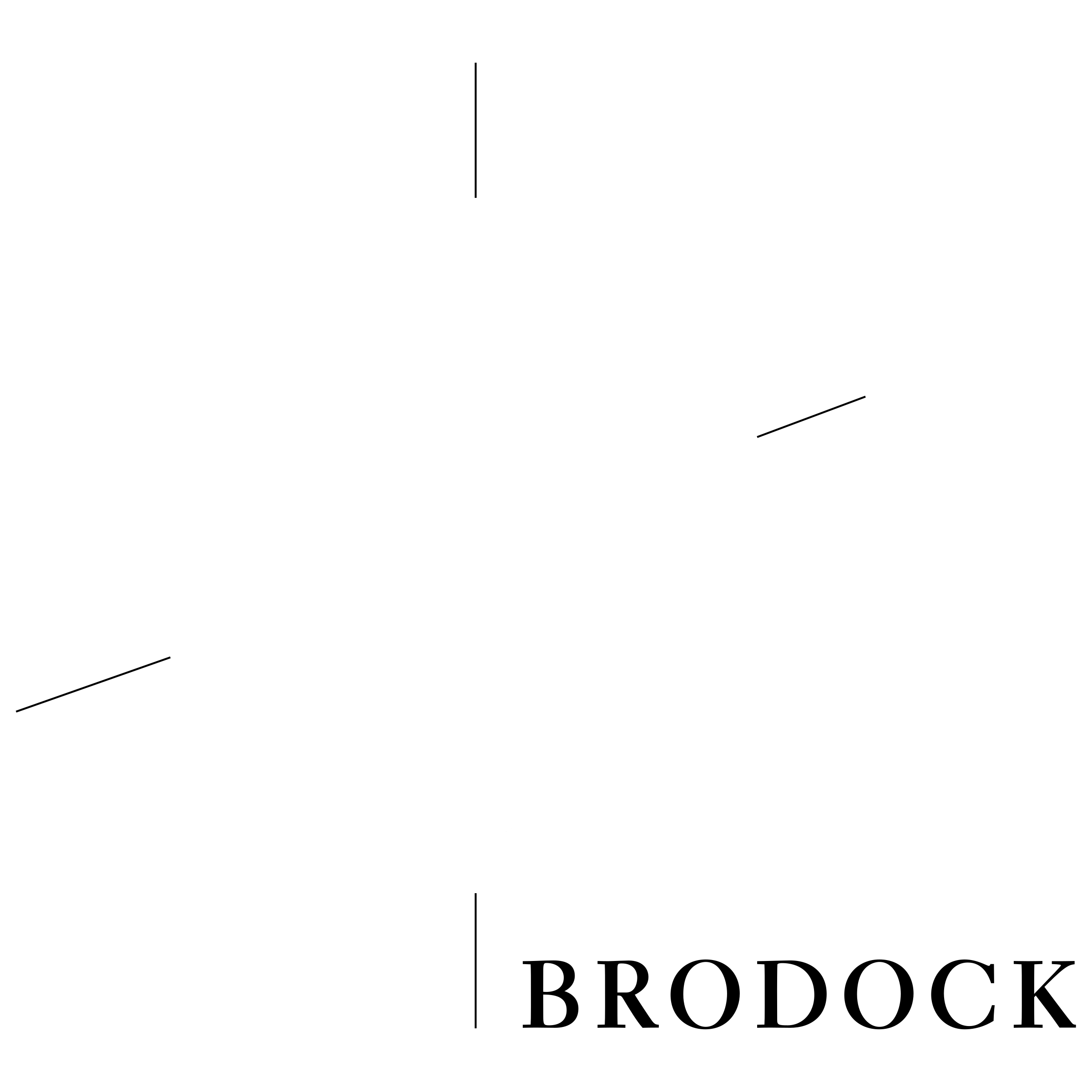 Brodock Logo black and white