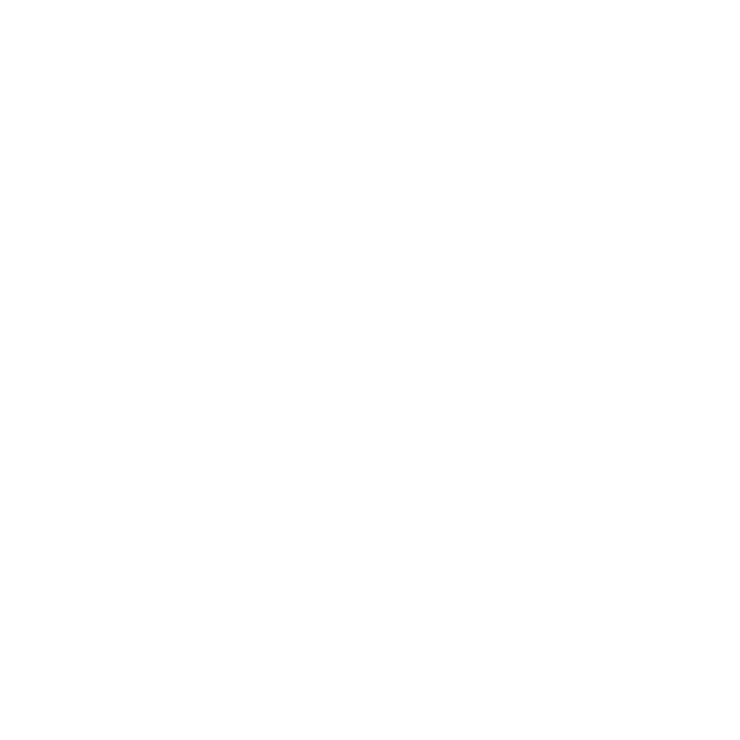 BSA 02 Logo black and white