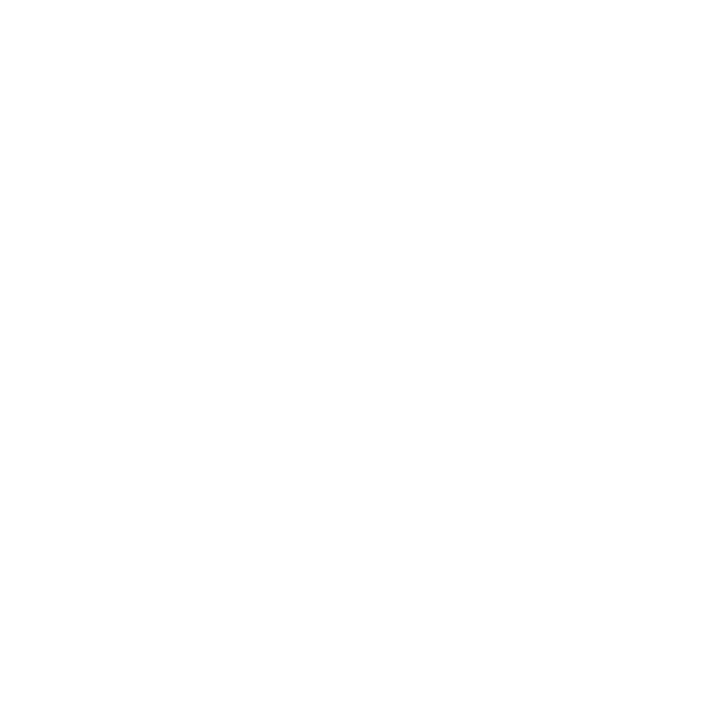 BSN Medical 01 Logo black and white