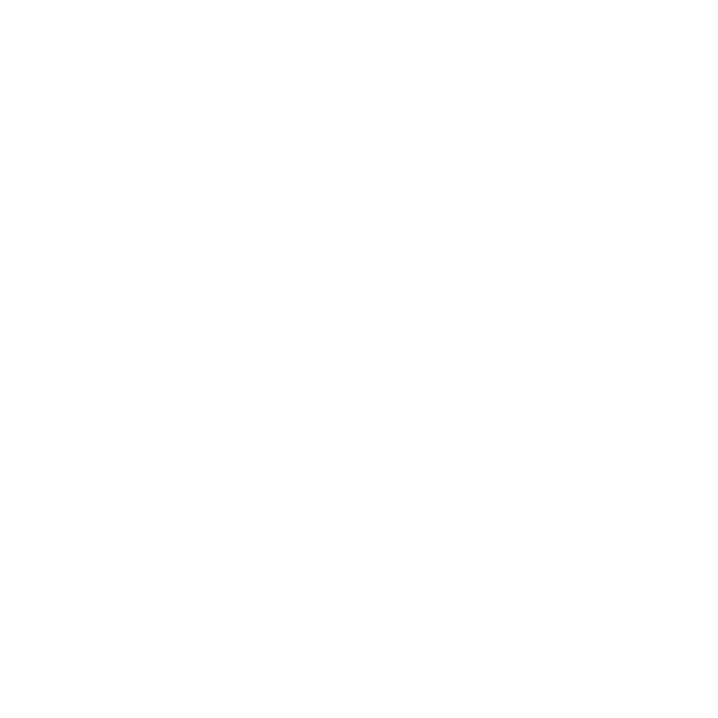 BSS Logo black and white