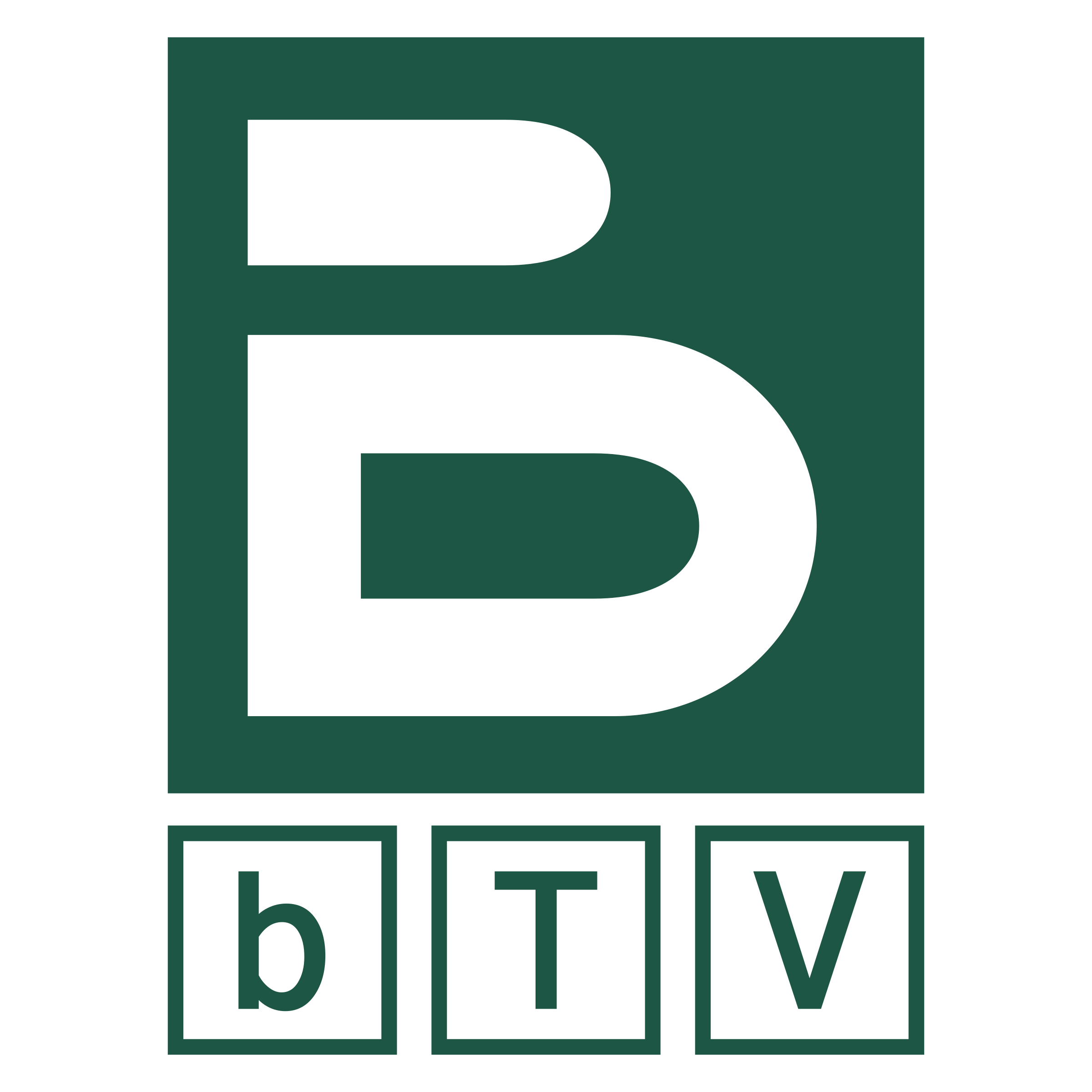 bTV 01 Logo png transparent