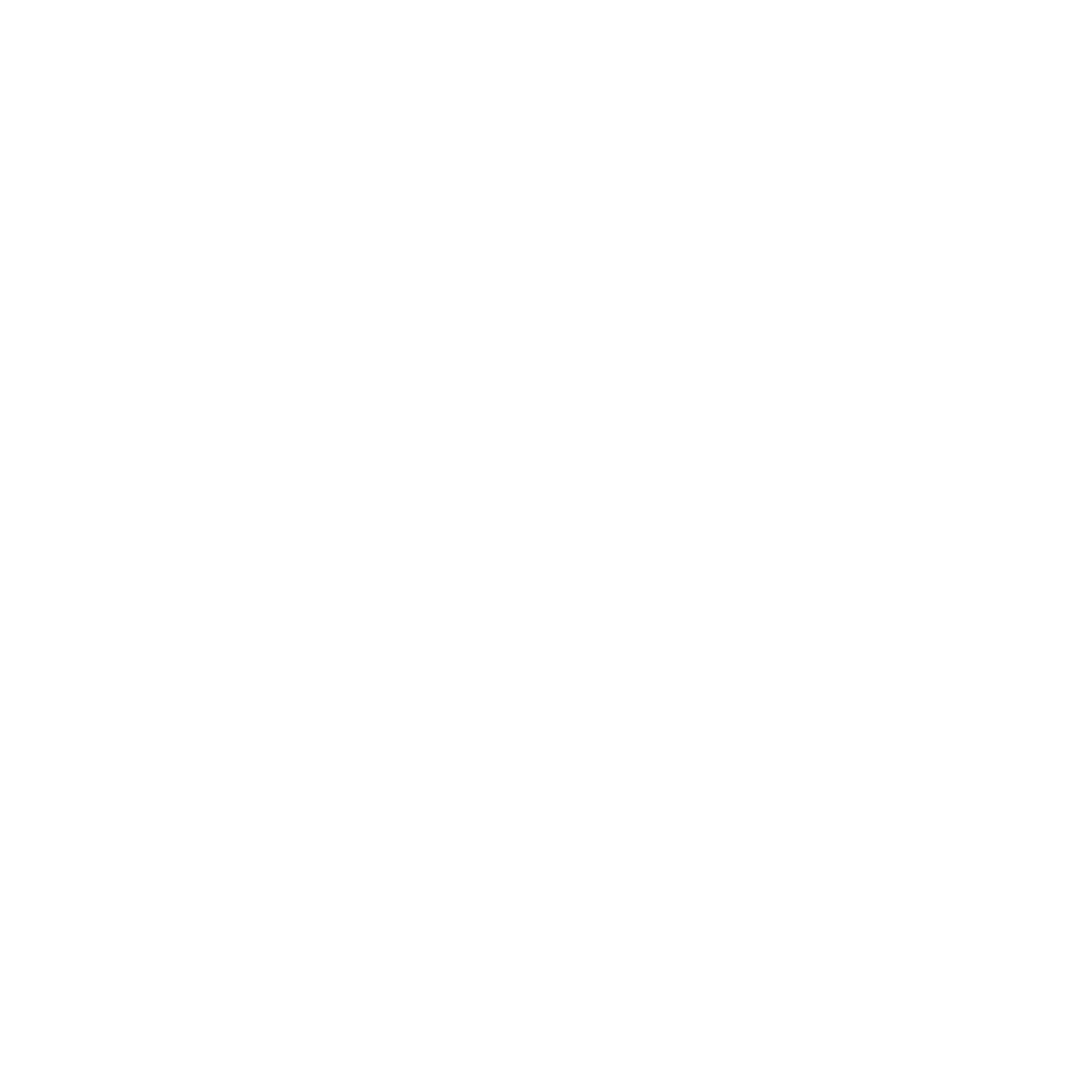 Budget Logo black and white