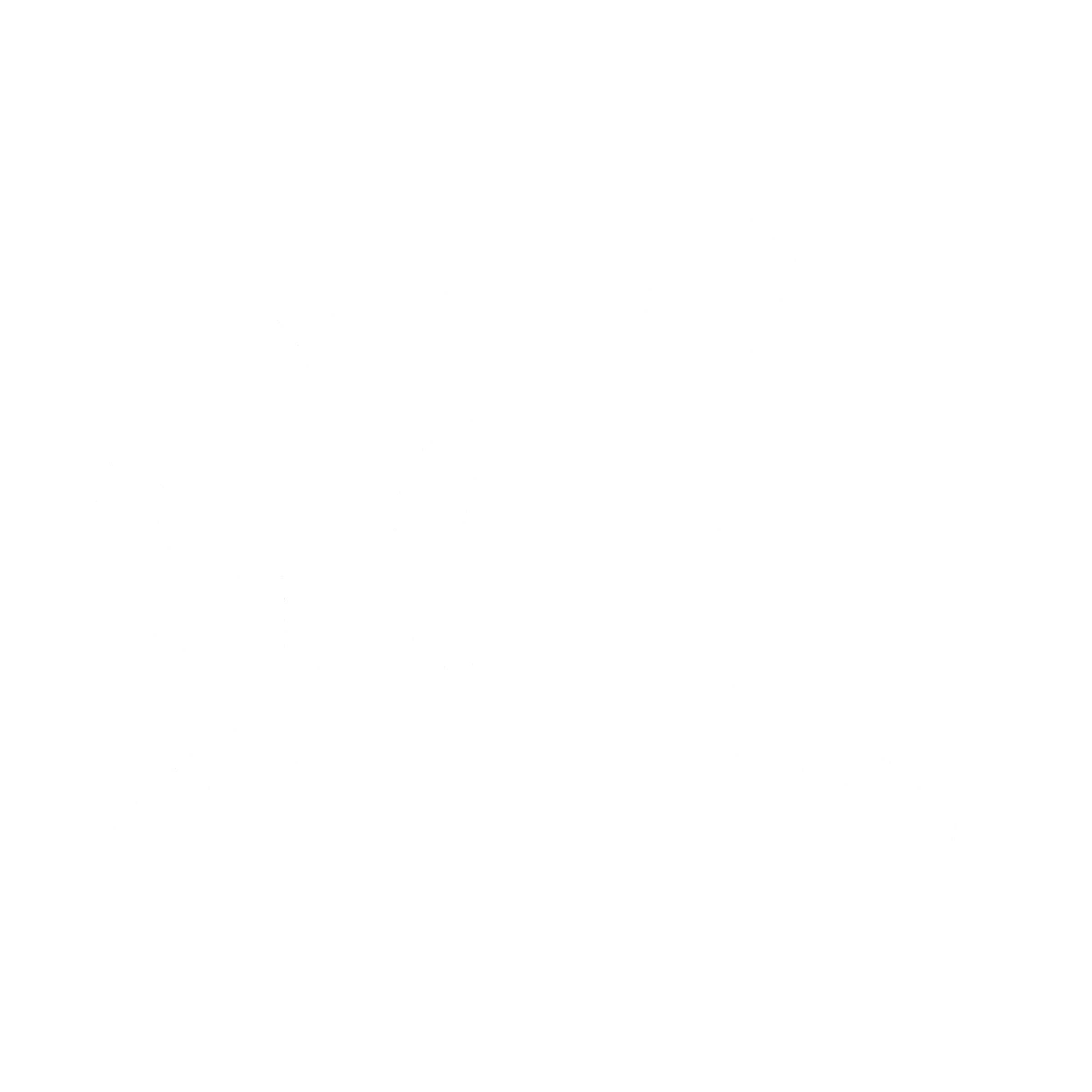 Buena Vista University Logo black and white