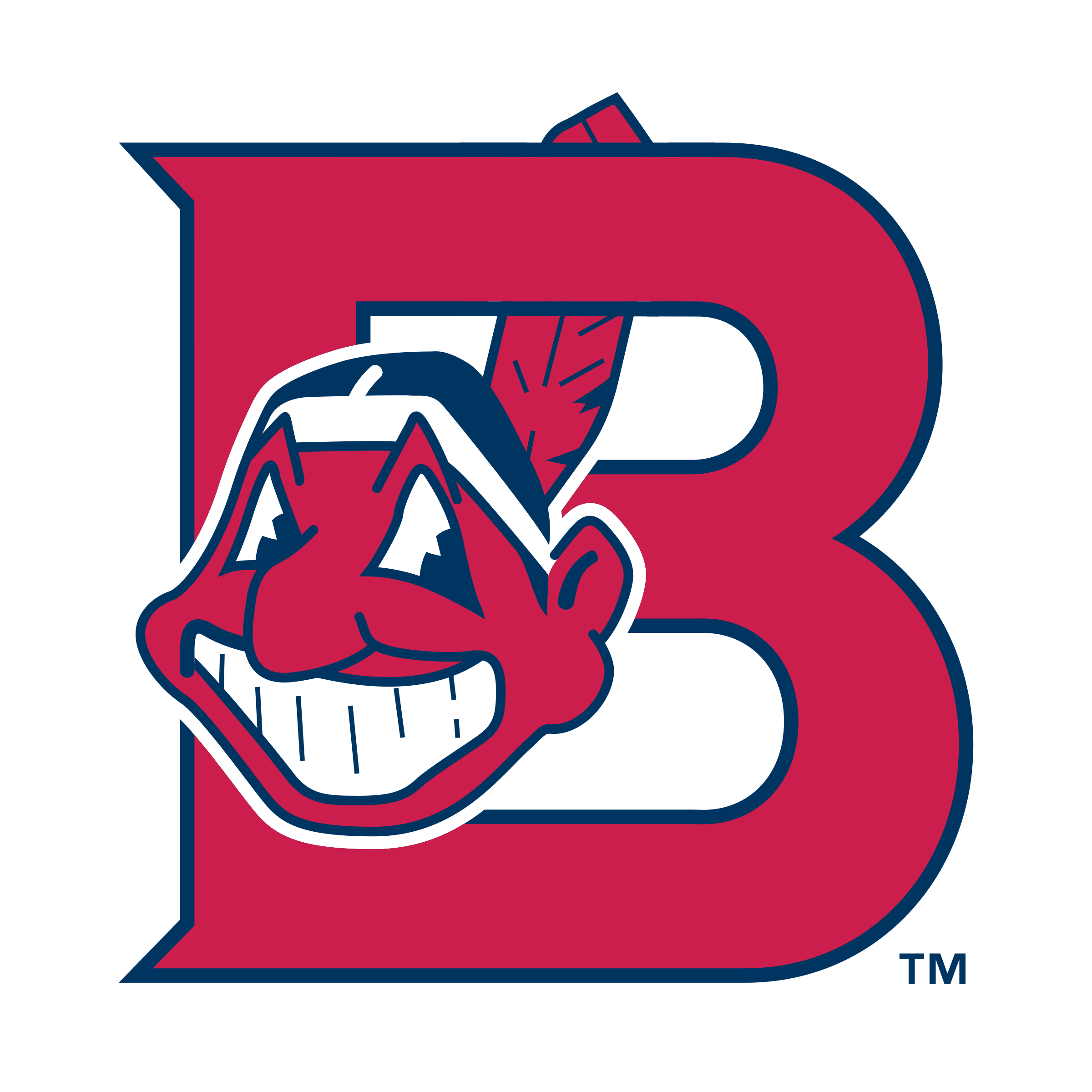 Burlington Indians Logo png transparent