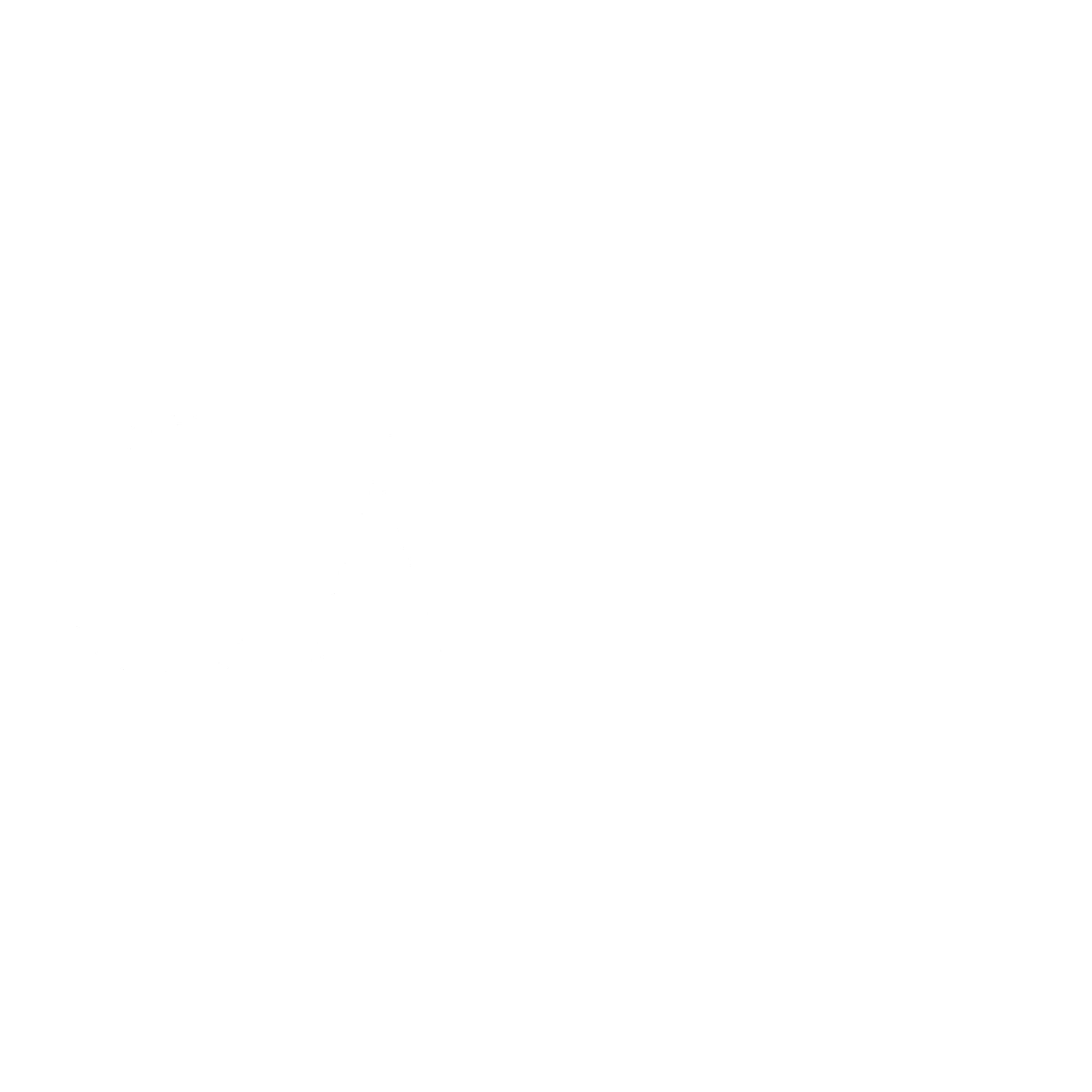 CASH Logo black and white