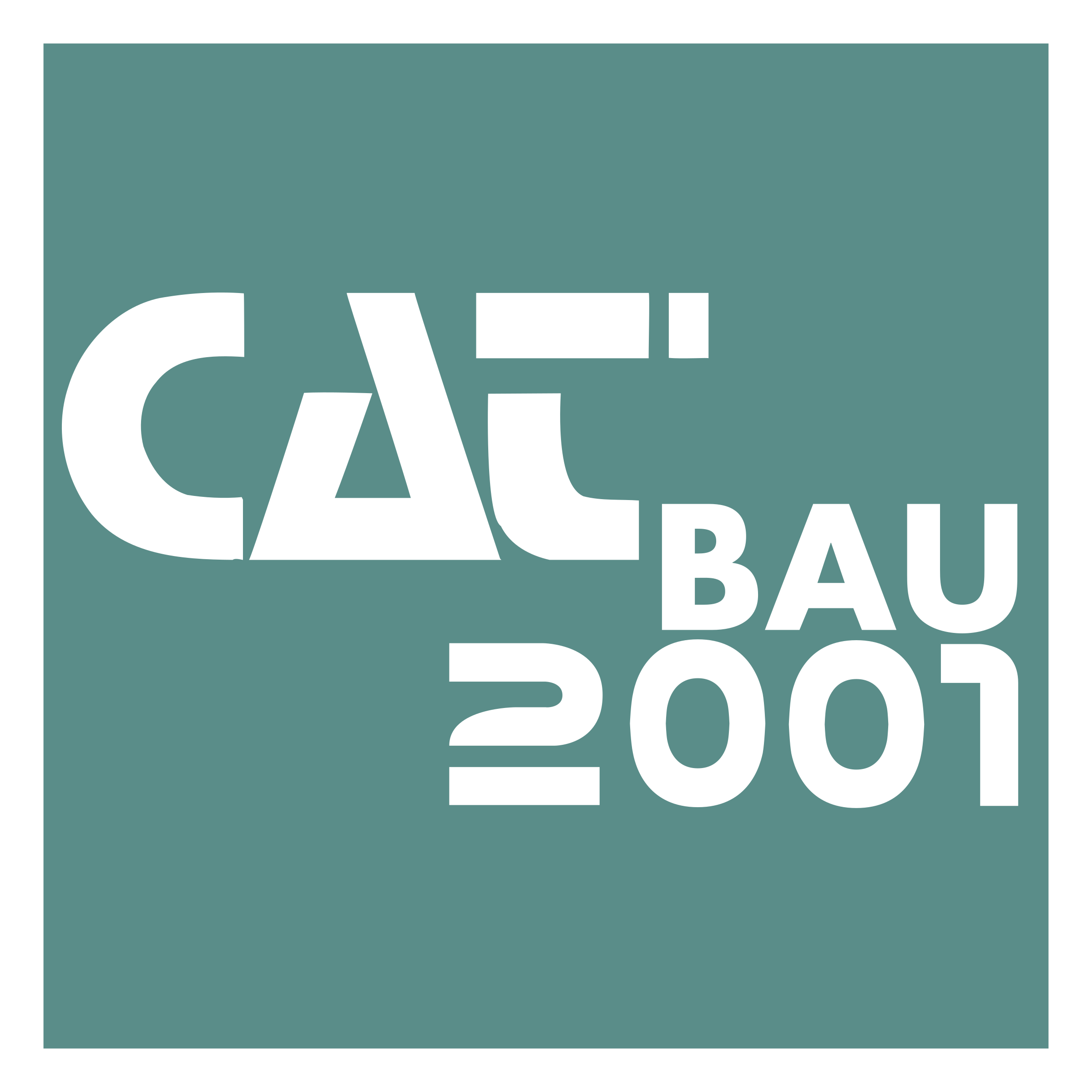 CAT Bau Logo png transparent