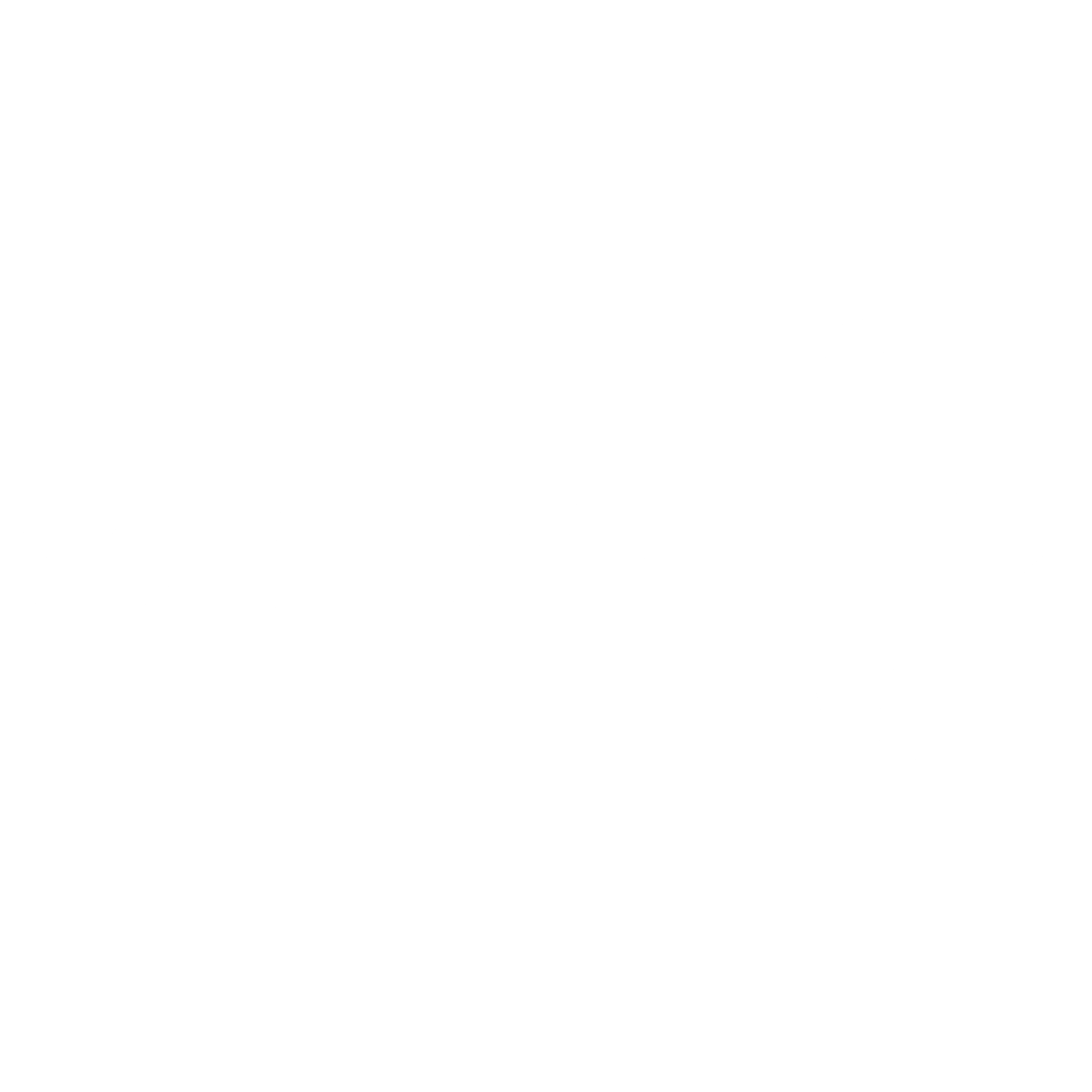 Cebra Logo black and white
